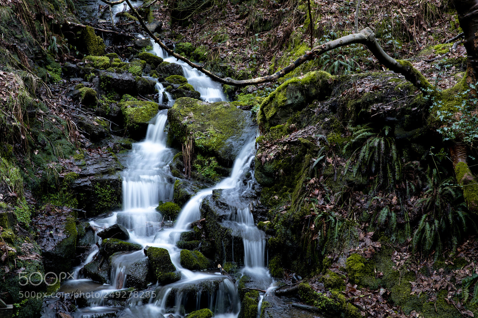 Canon EOS 5D Mark IV sample photo. Rivington photography
