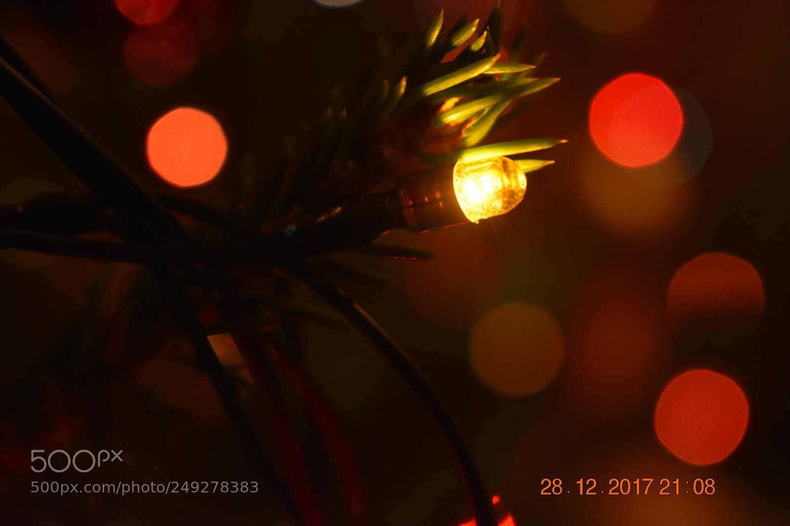Nikon D3400 sample photo. Untitled photography