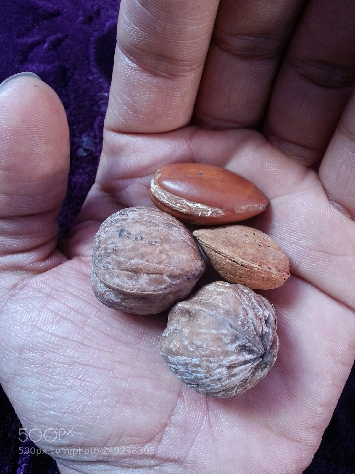 Samsung Galaxy Note2 sample photo. Untitled photography