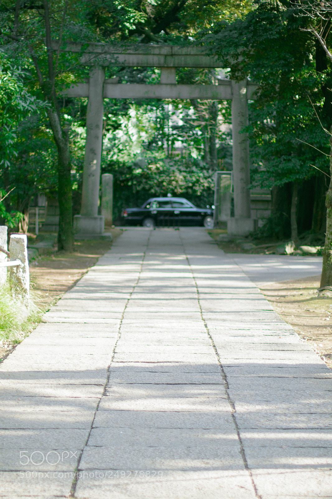 Canon EOS 7D Mark II sample photo. 神社の鳥居 photography