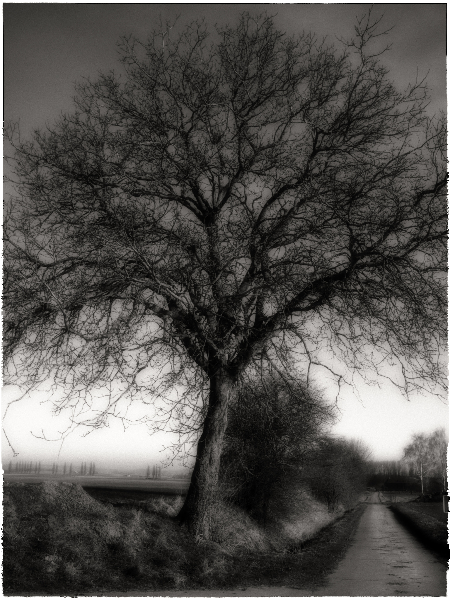 Panasonic Lumix DMC-GF1 sample photo. Pajottenland serie photography