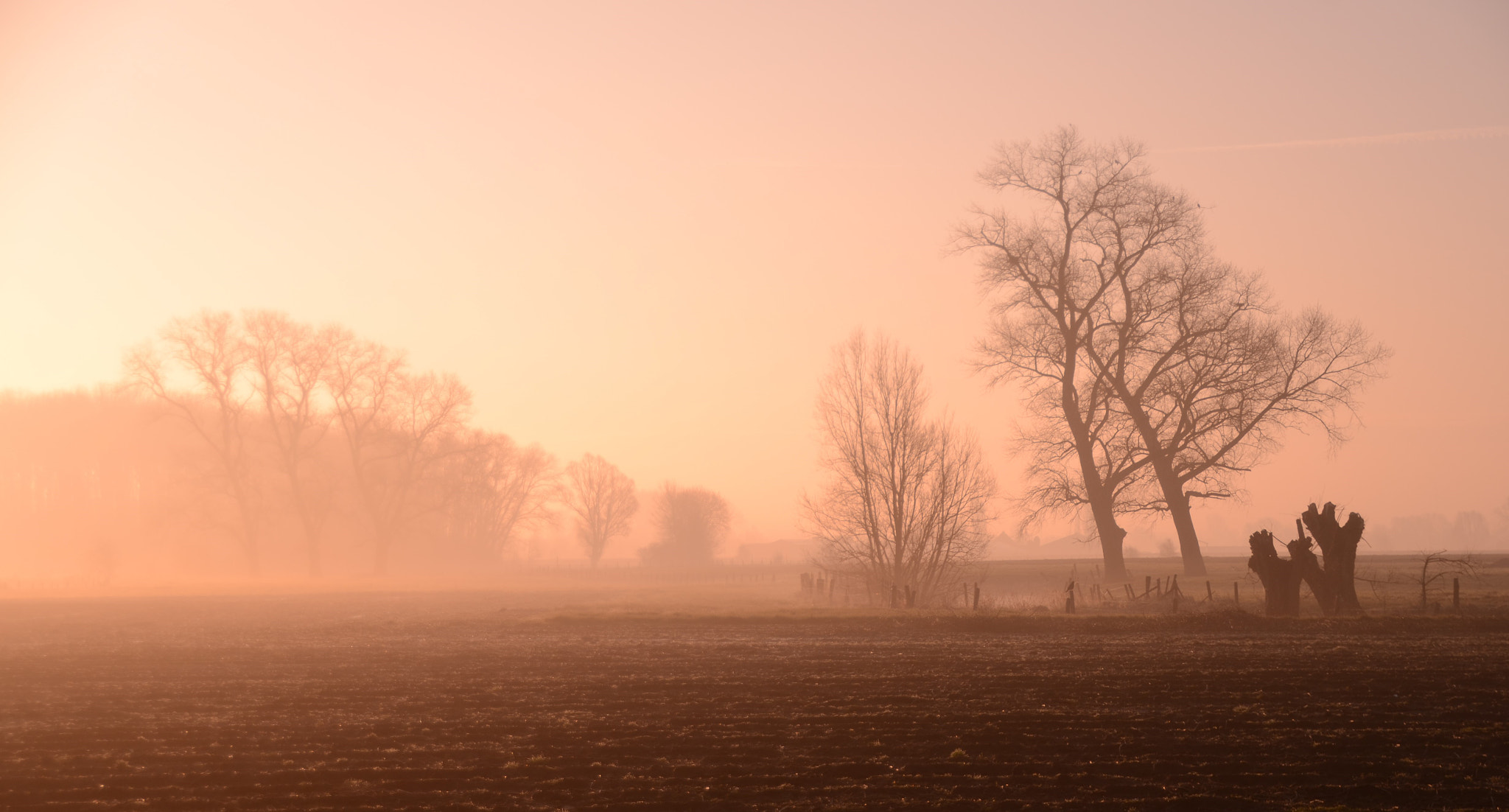 Nikon D7000 sample photo. Morning mist photography