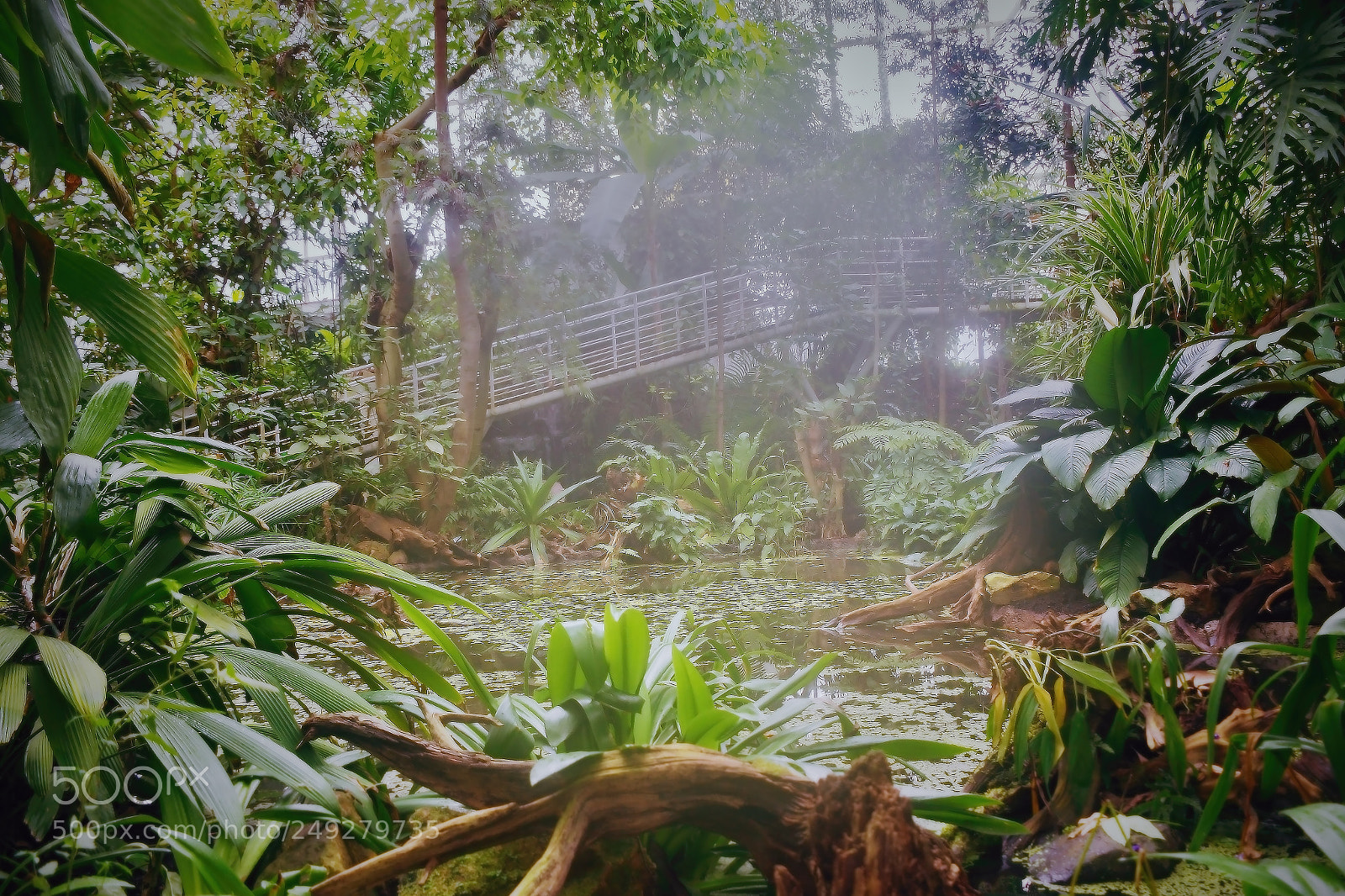 Nikon D5300 sample photo. Lake in greenhouse of photography