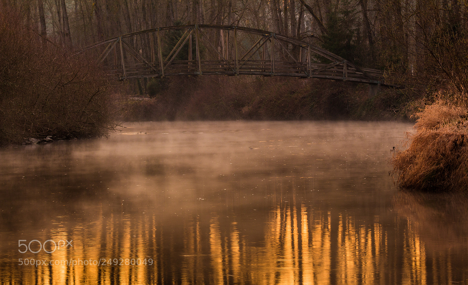 Canon EOS 700D (EOS Rebel T5i / EOS Kiss X7i) sample photo. Morning mist rising photography