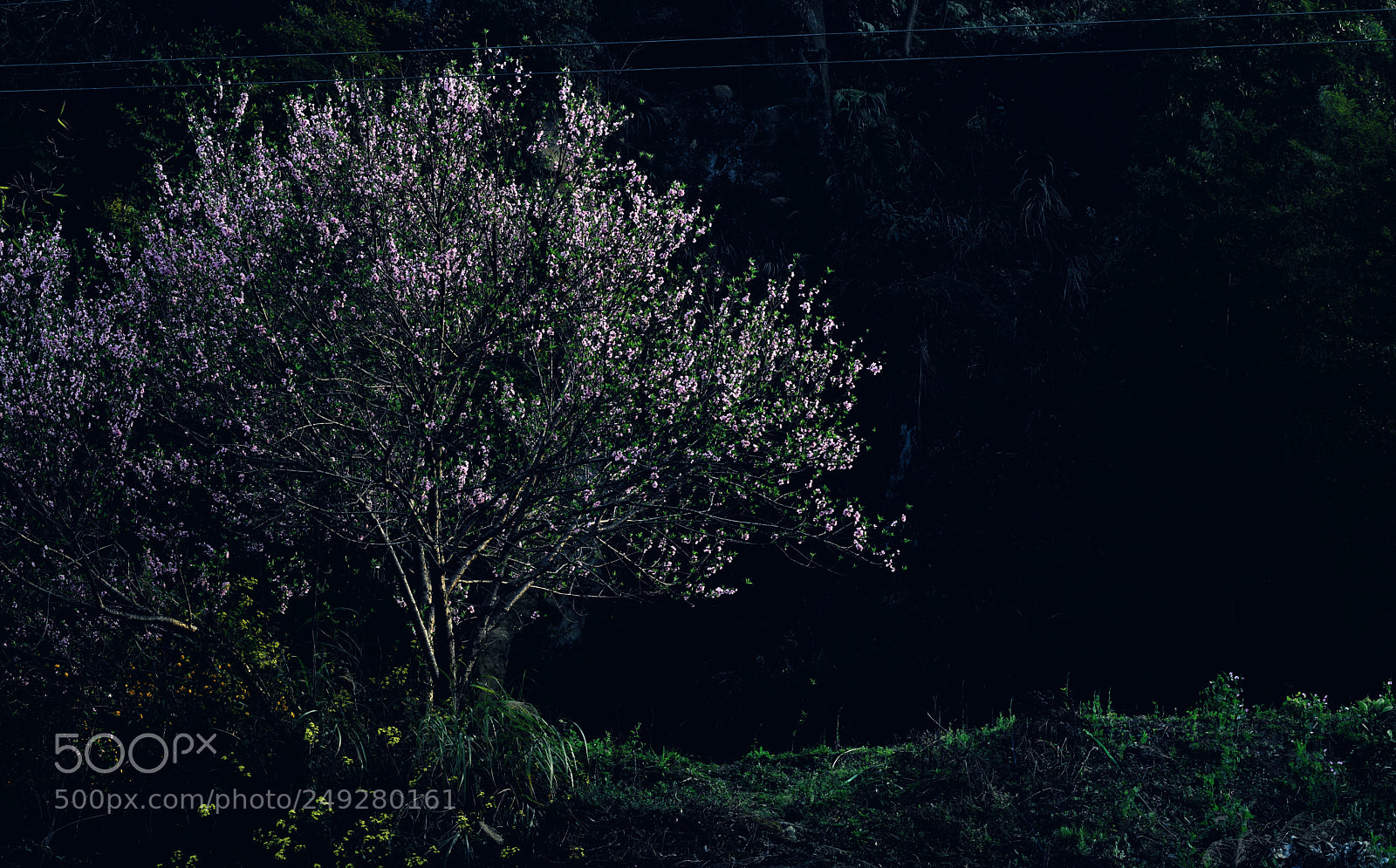 Nikon D800 sample photo. Untitled photography