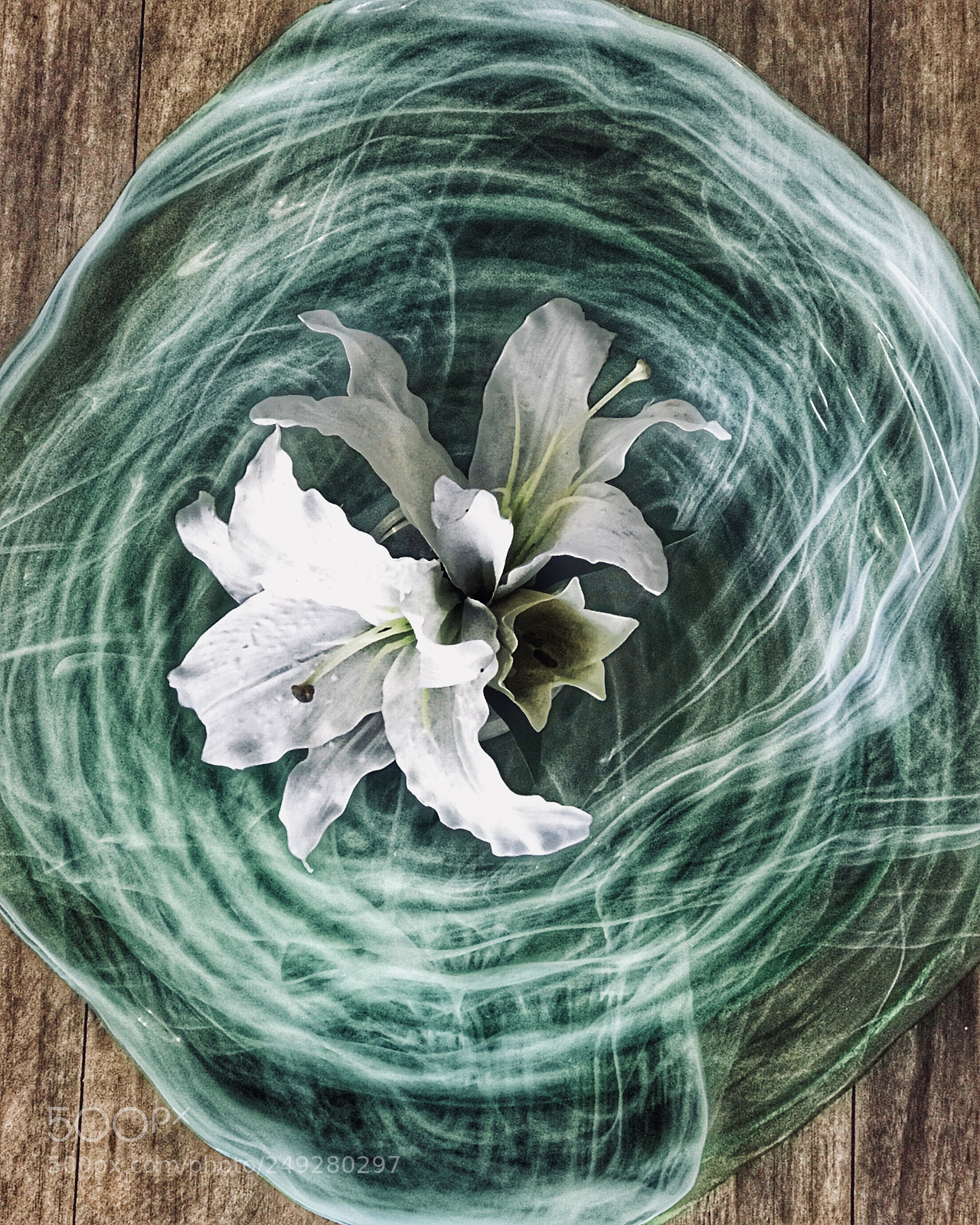 Apple iPhone 7 Plus sample photo. Flowers in a bowl photography