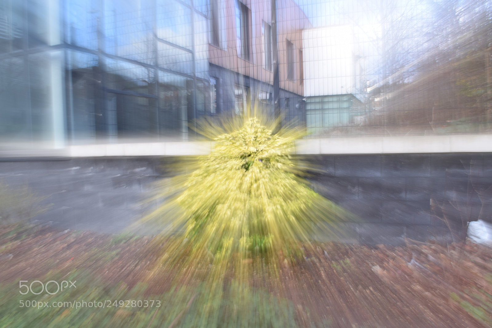 Nikon D5300 sample photo. Zoom blur photography