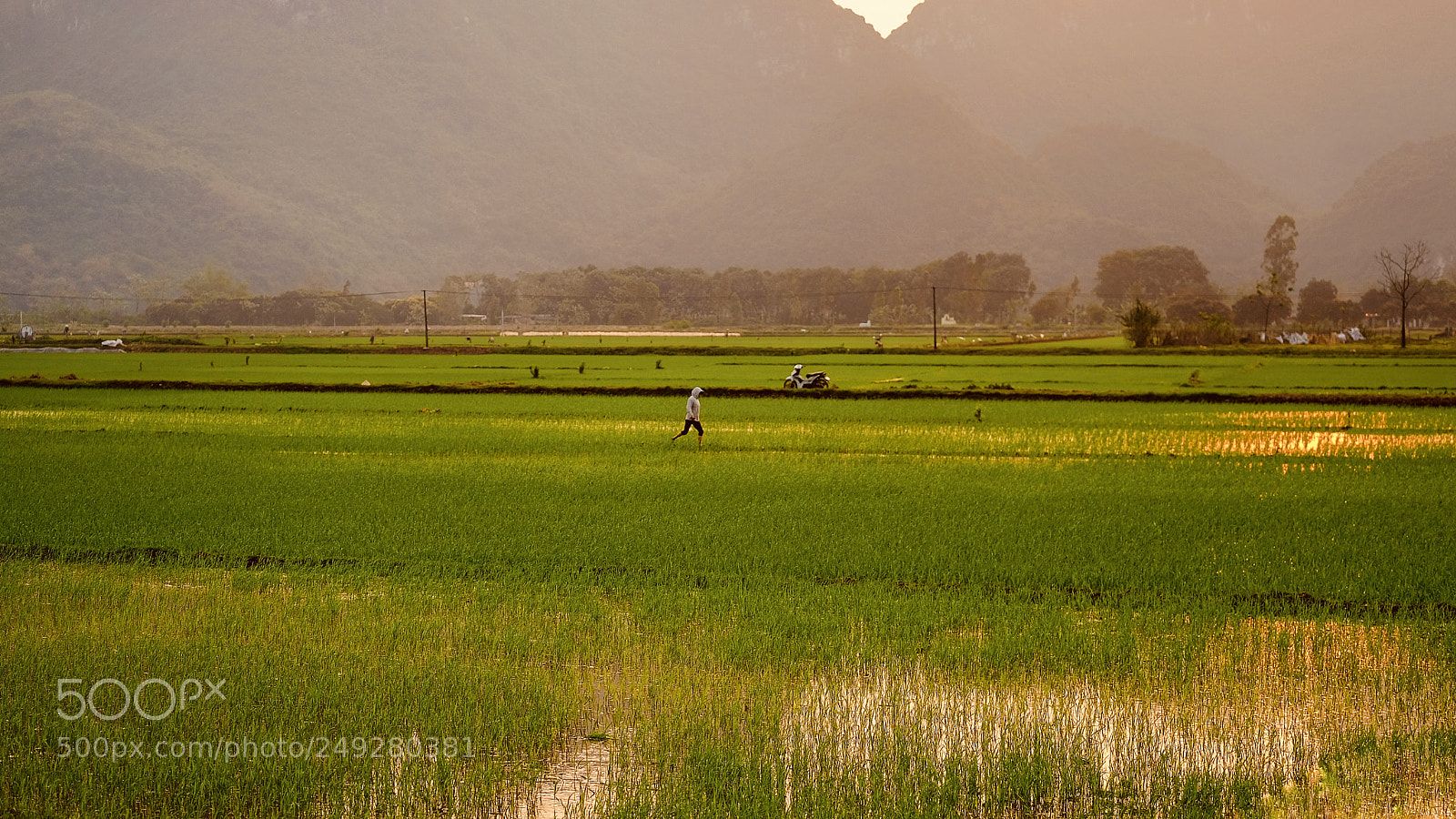 Fujifilm X-T20 sample photo. Untitled photography