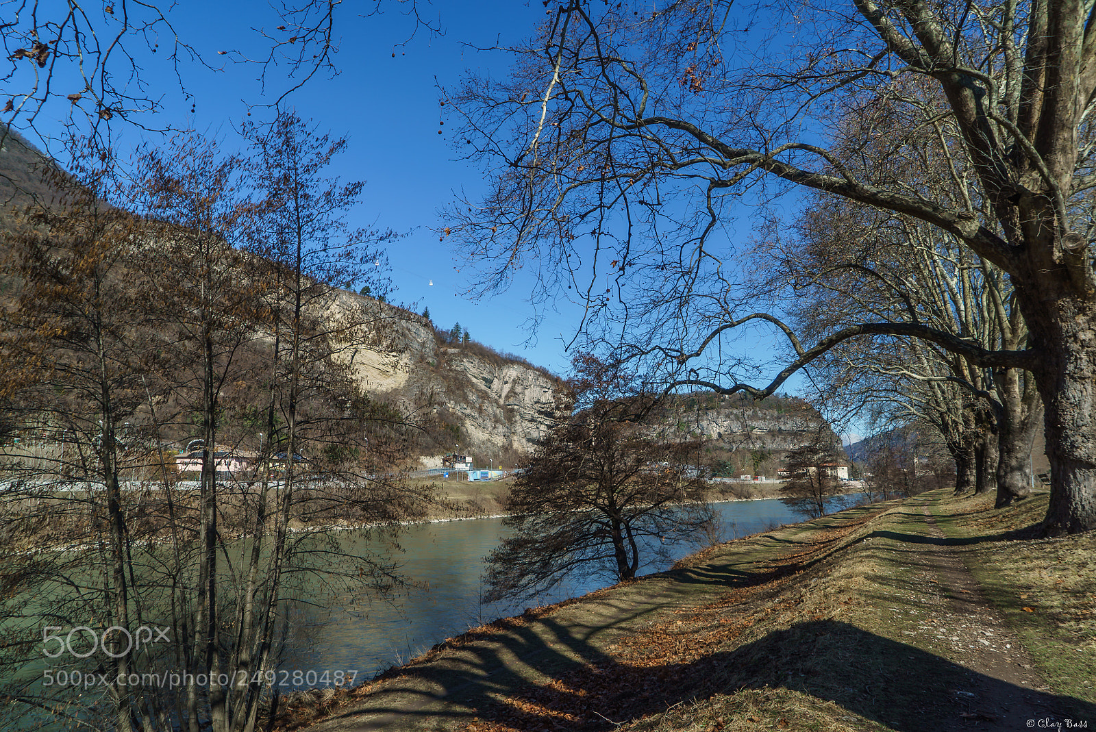 Sony a7S II sample photo. Gli alberi hanno braccia photography