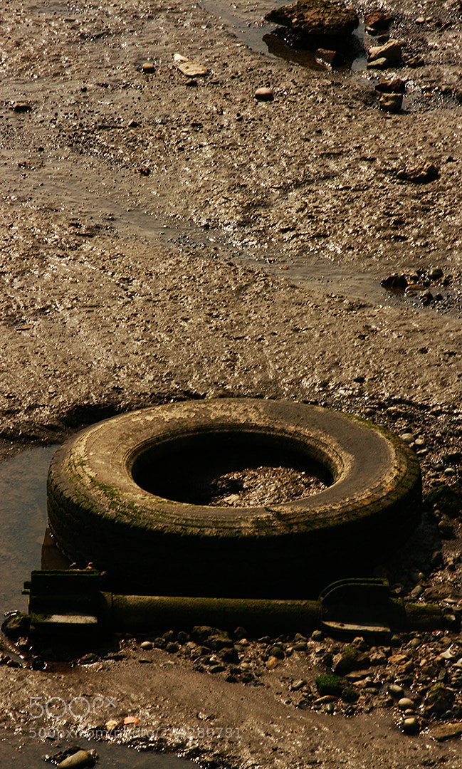 Canon EOS 400D (EOS Digital Rebel XTi / EOS Kiss Digital X) sample photo. Tyre photography