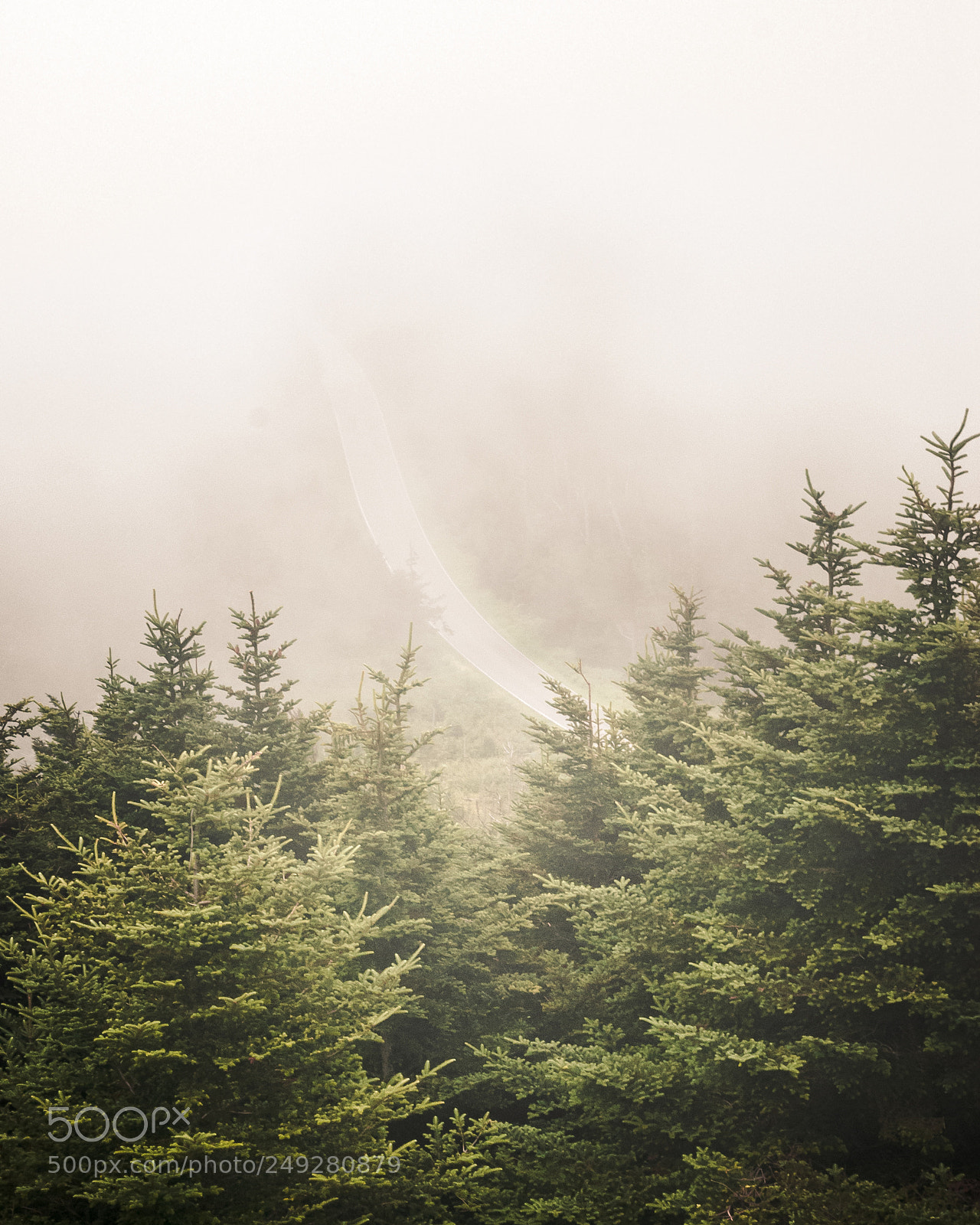Nikon D60 sample photo. Through the fog photography