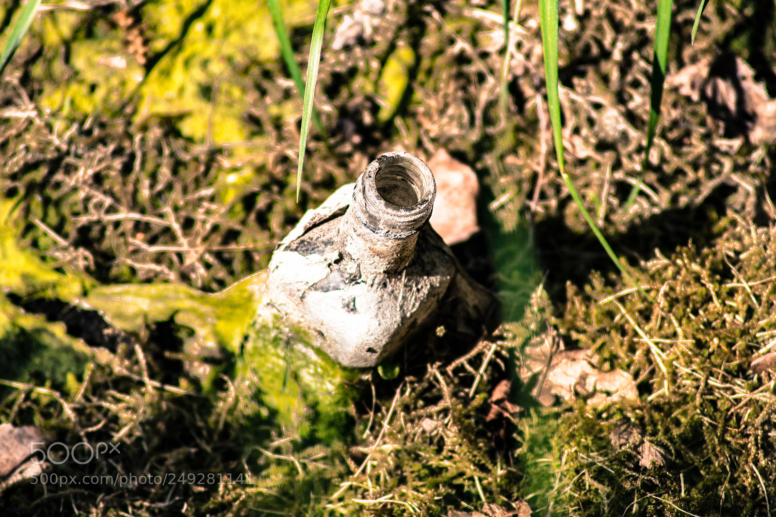 Canon EOS 700D (EOS Rebel T5i / EOS Kiss X7i) sample photo. Old rubbish bottle in photography