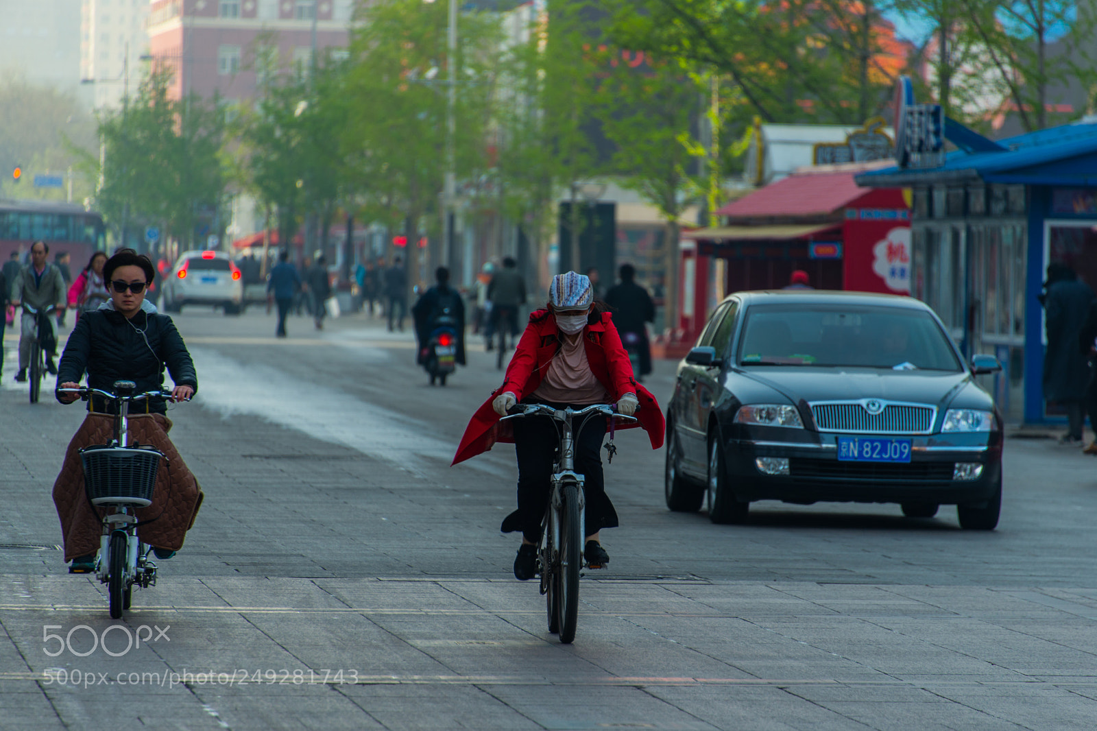 Nikon D800 sample photo. Early birds photography