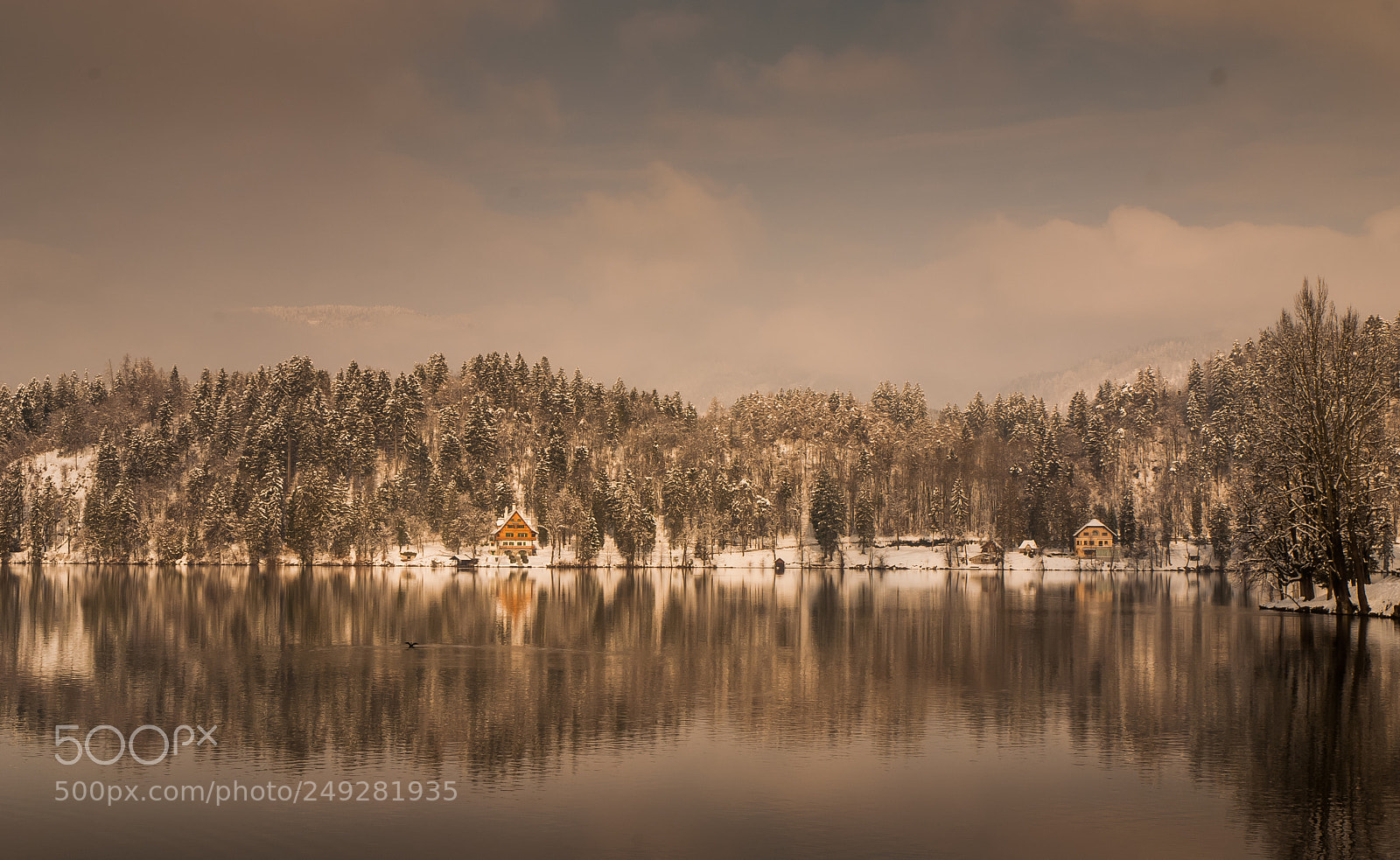 Nikon D80 sample photo. Winter lake bled photography