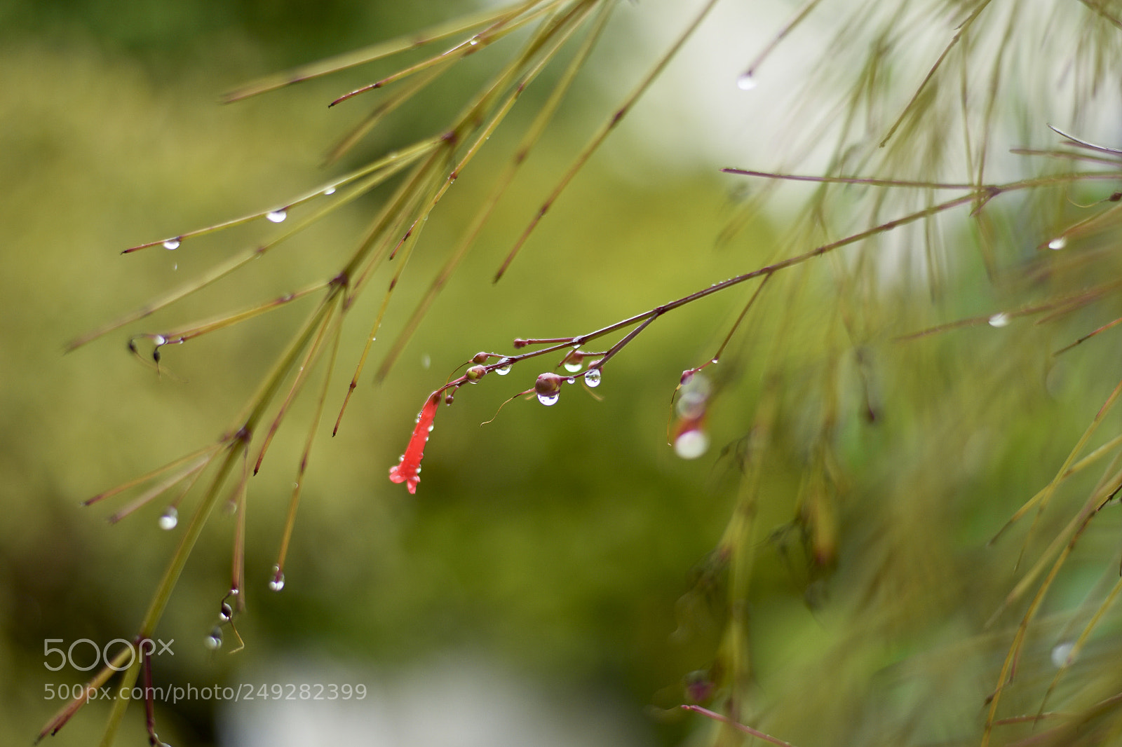 Nikon D5300 sample photo. Untitled photography