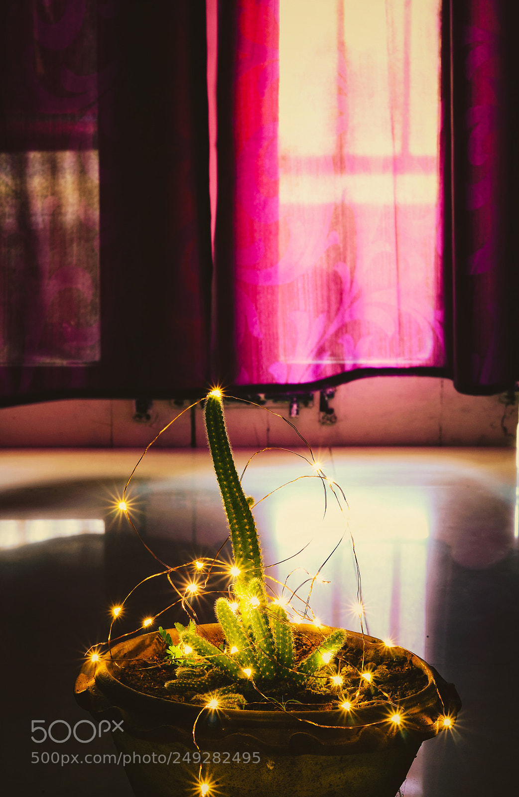 Nikon D5100 sample photo. Untitled photography