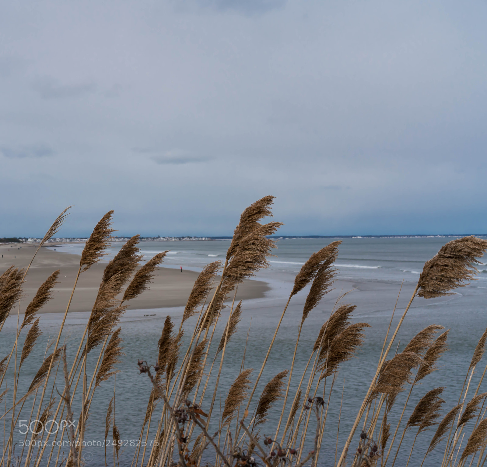 Sony a7R III sample photo. Marginal way photography