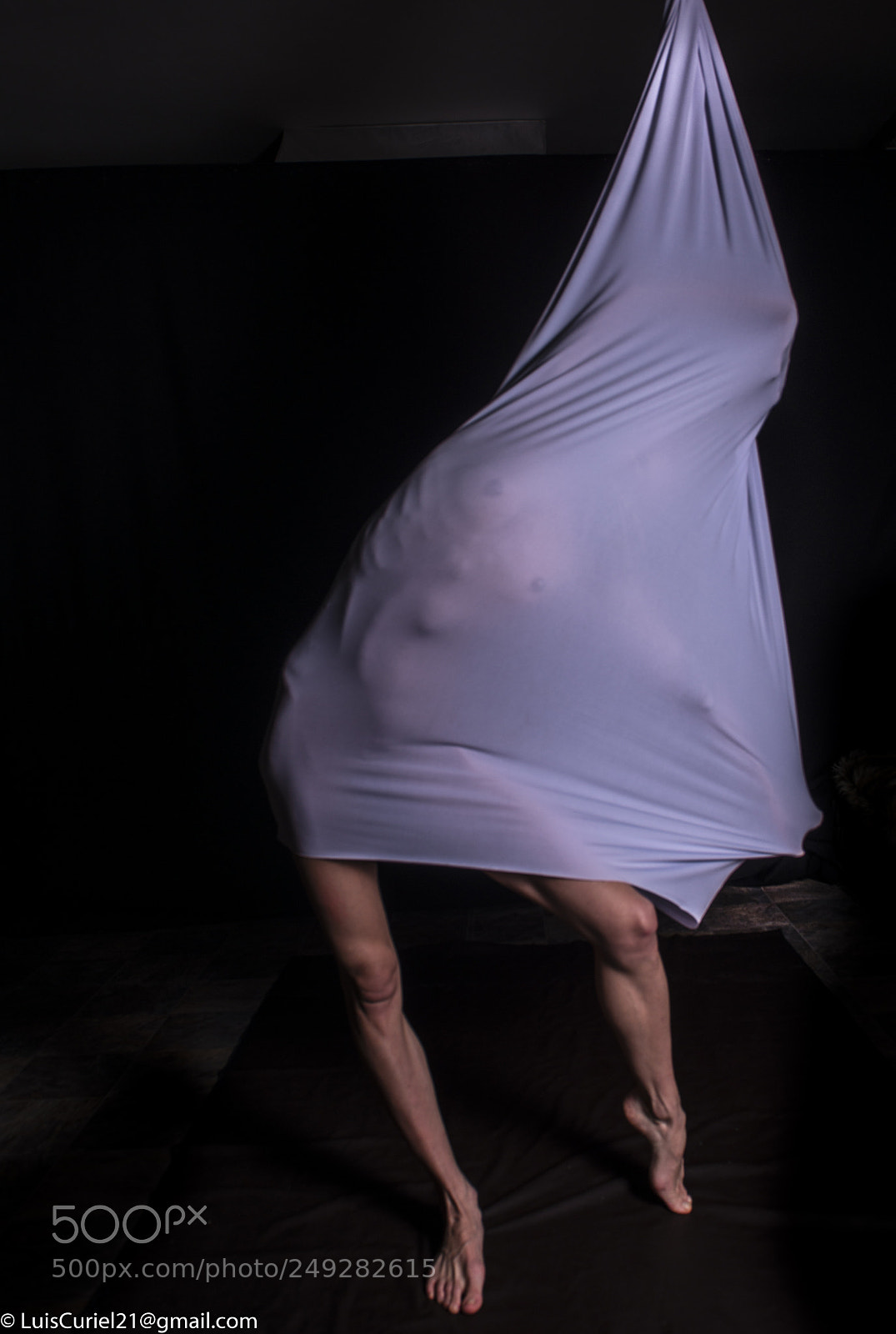 Nikon D800E sample photo. Lucy on the sac photography