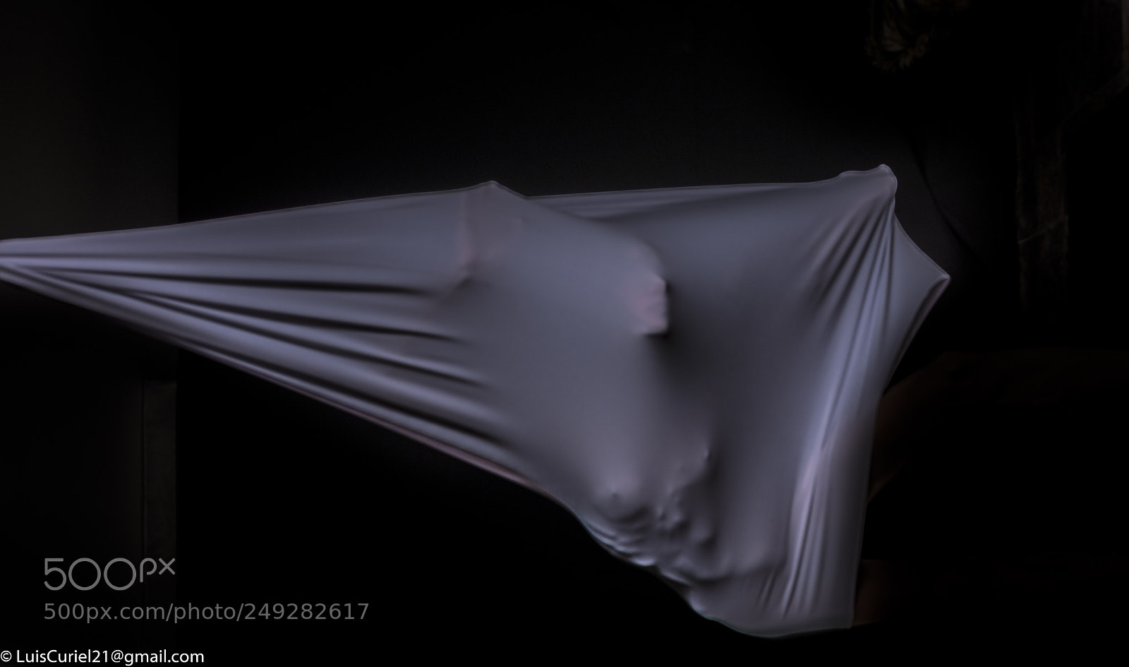 Nikon D800E sample photo. Lucy on the sac photography