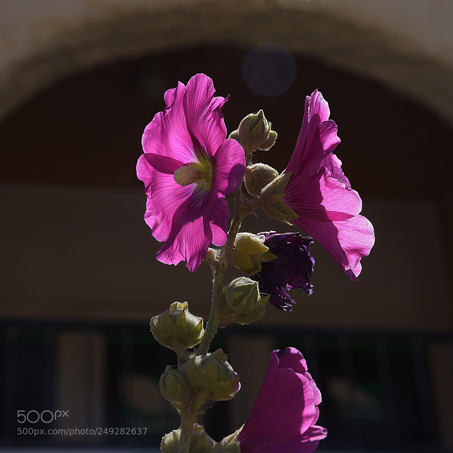 Nikon D3300 sample photo. Summer photography
