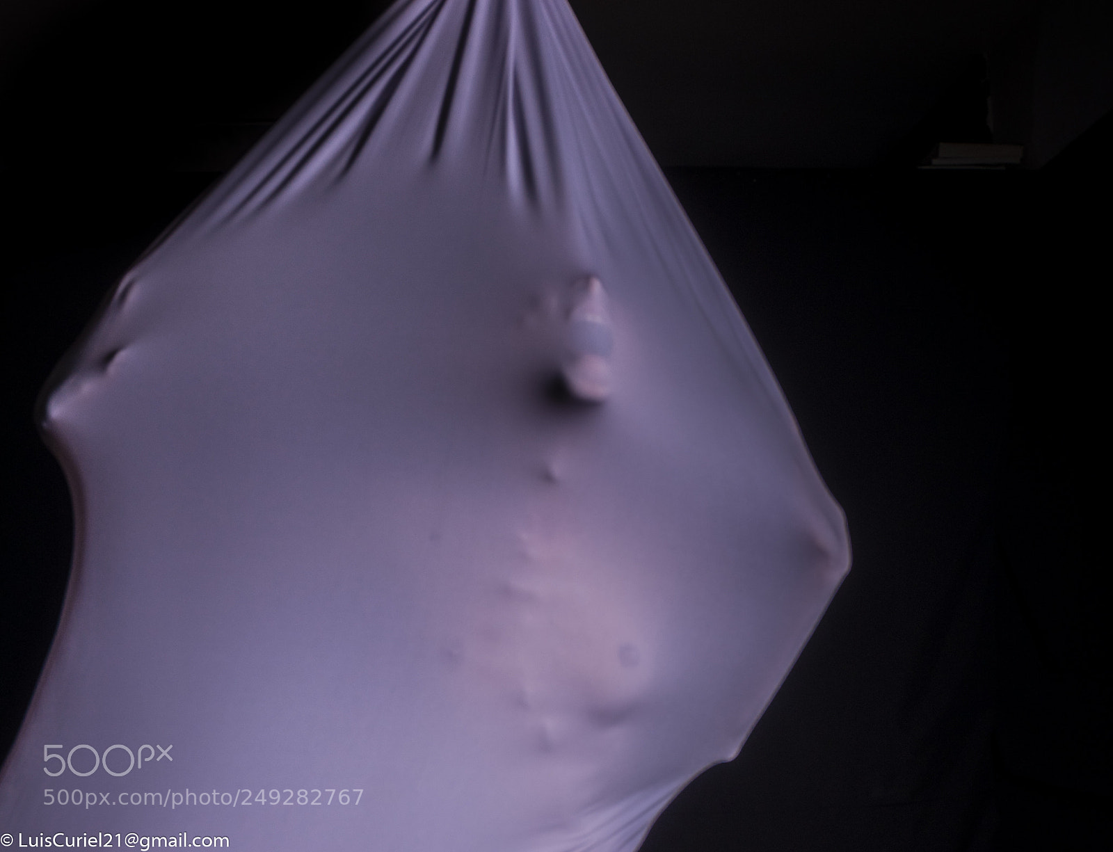 Nikon D800E sample photo. Lucy on the sac photography