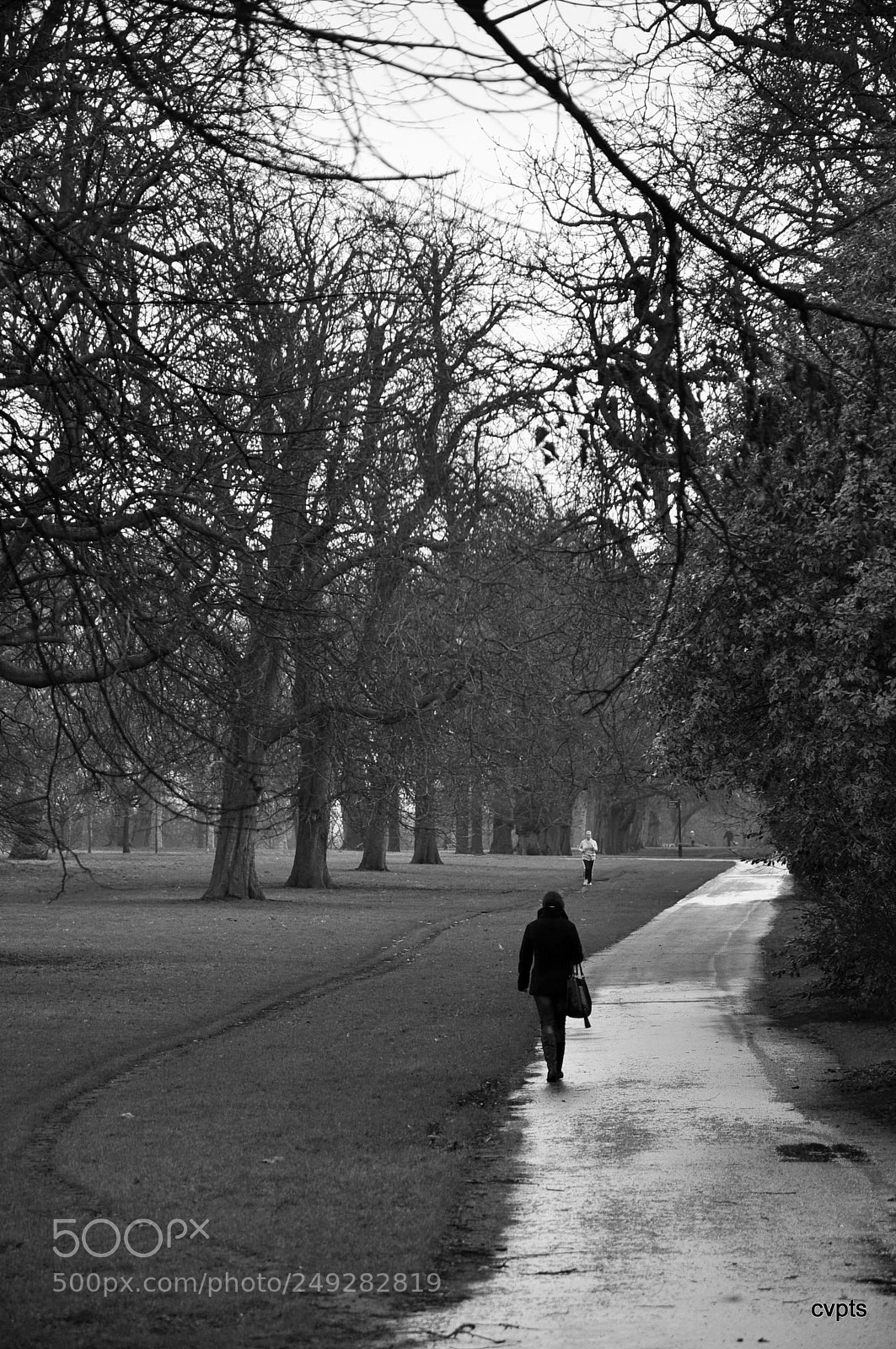 Nikon D90 sample photo. Walking photography