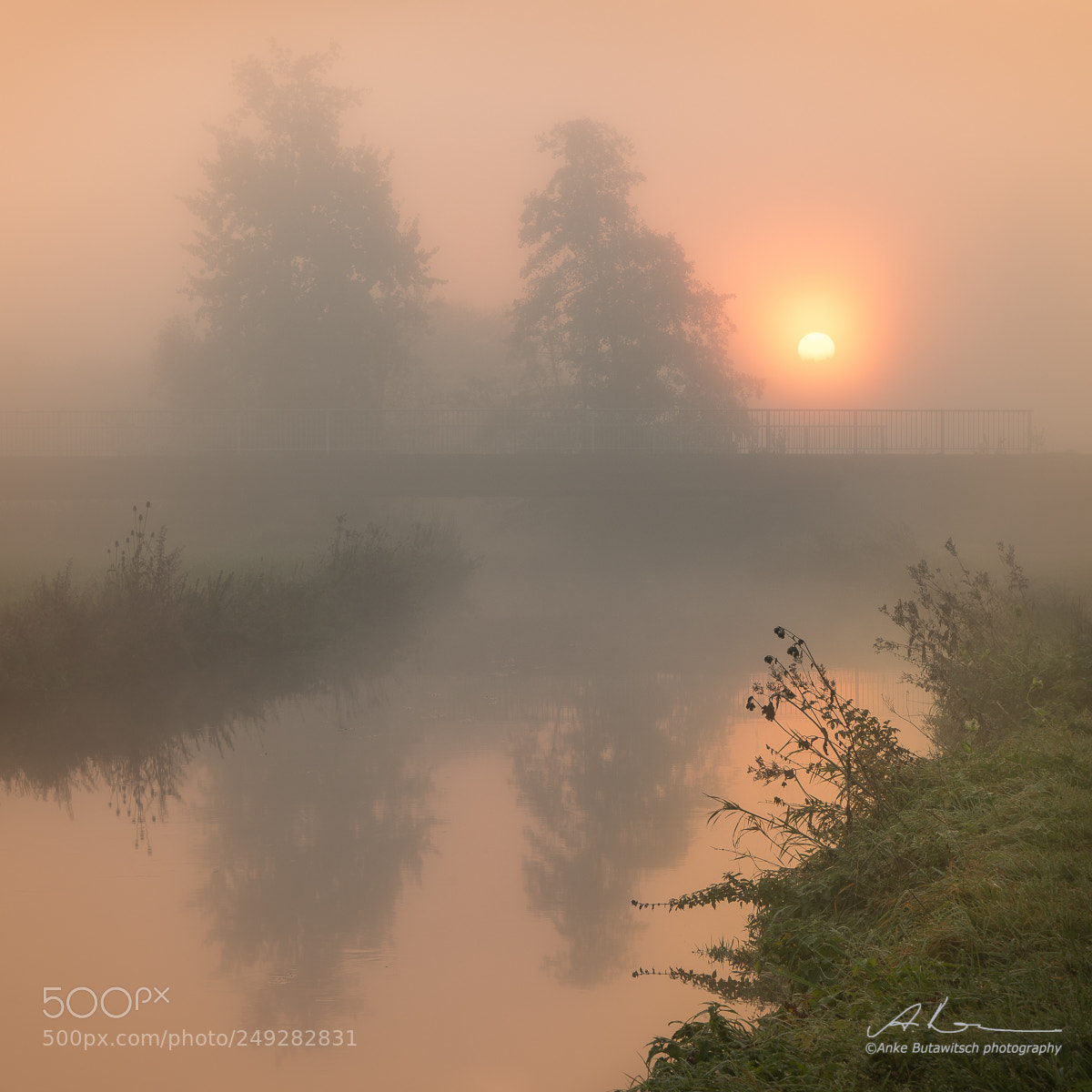 Sony a7R II sample photo. Morning fog at the photography