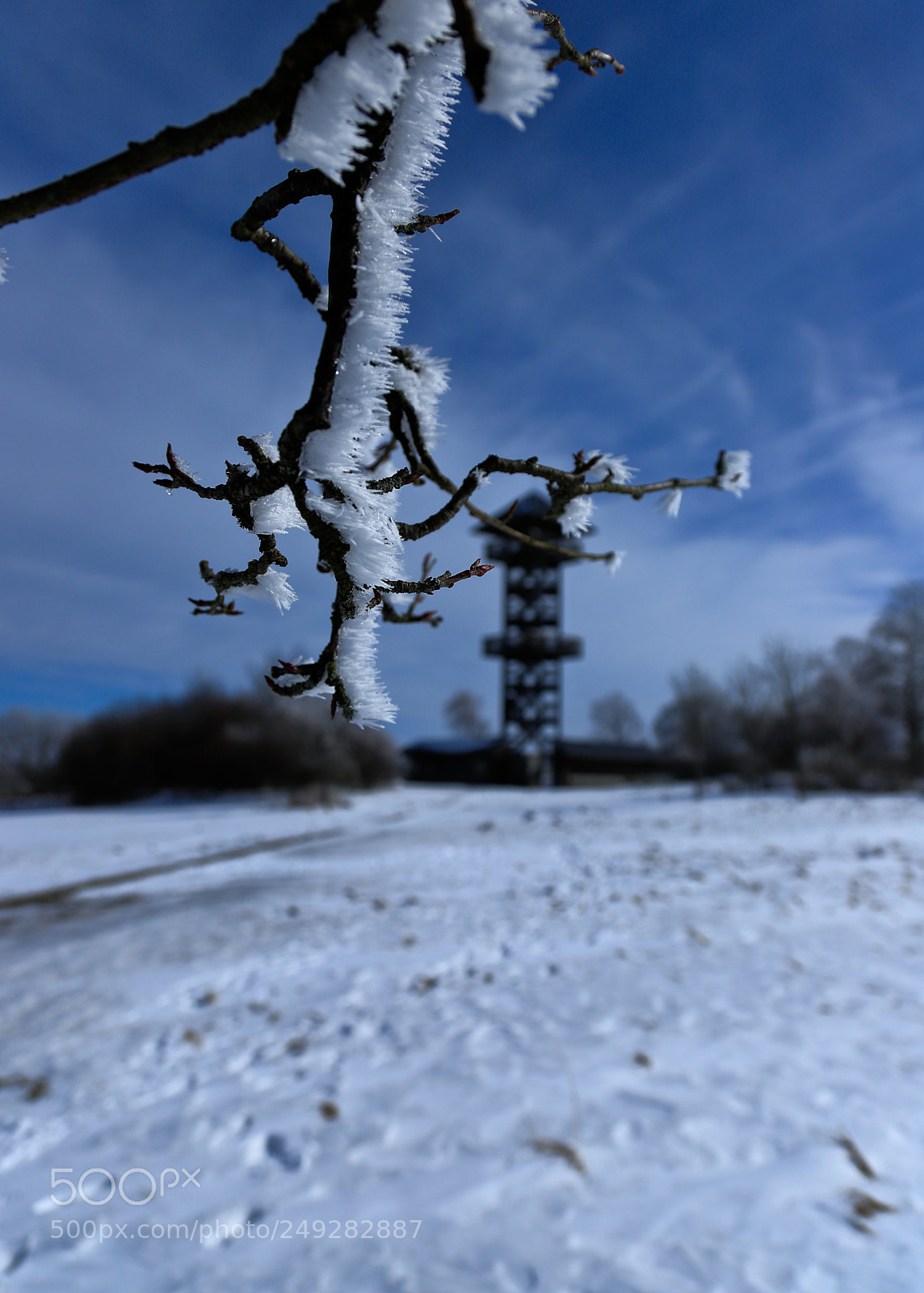 Canon EOS 6D Mark II sample photo. Frozen branch photography