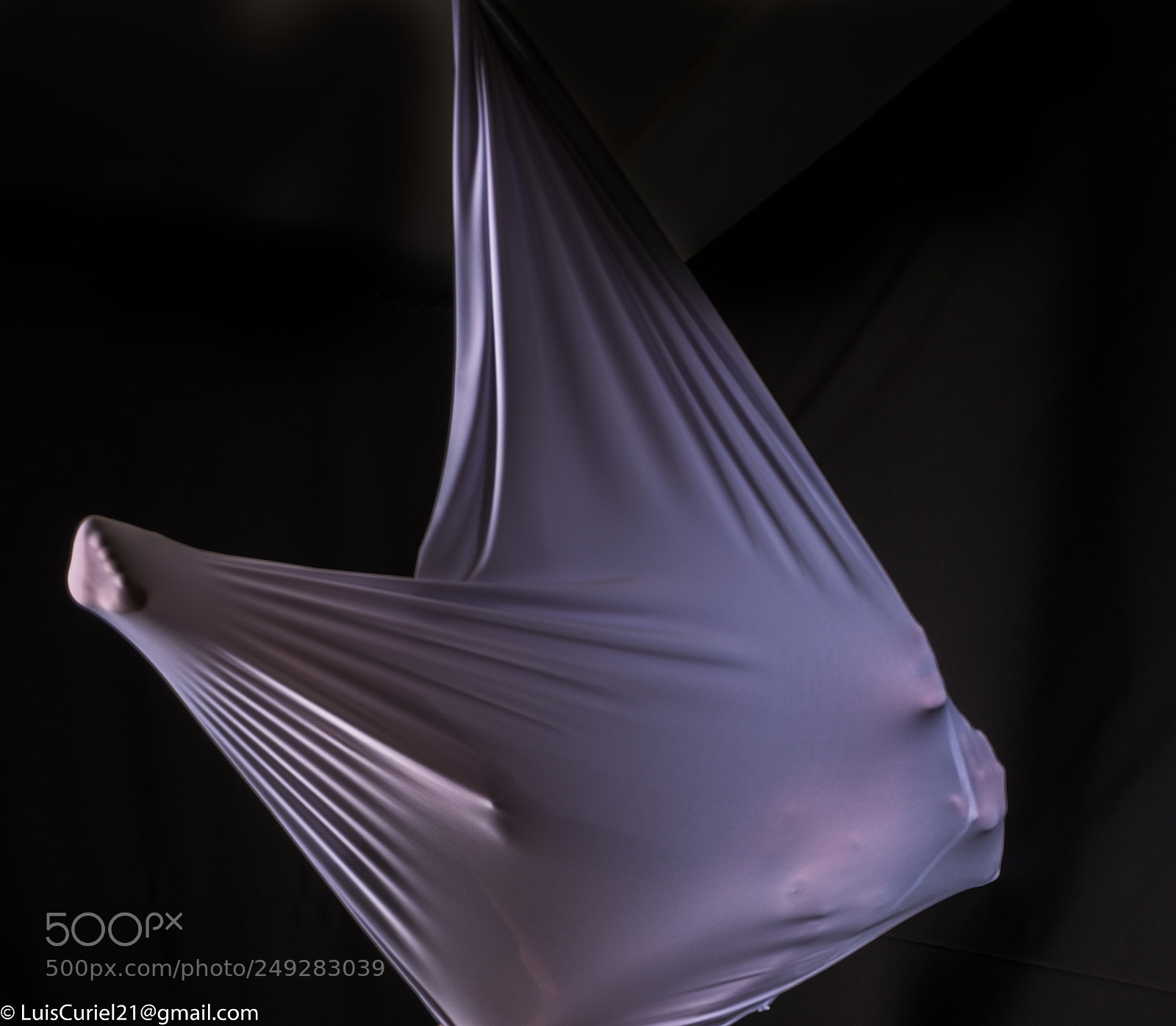 Nikon D800E sample photo. Lucy on the sac photography