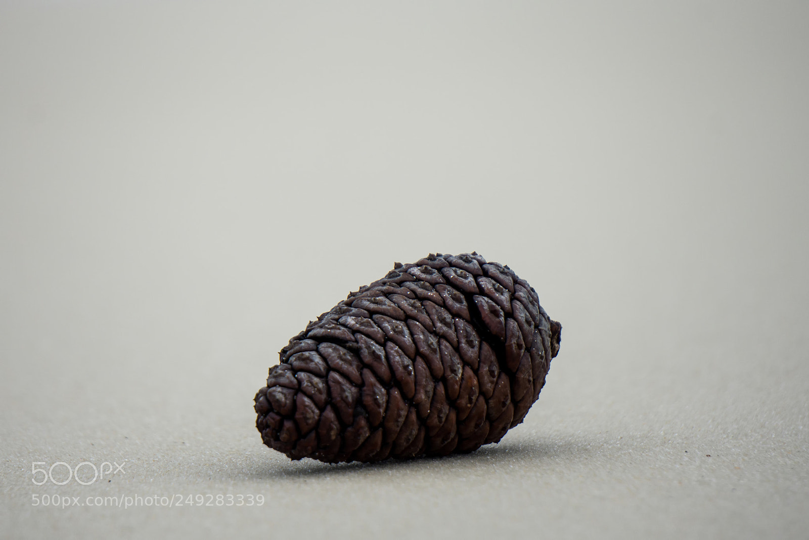 Sony a6000 sample photo. Sandy cone photography