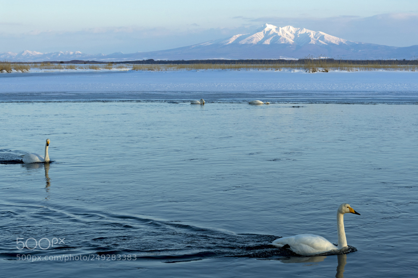 Nikon D5 sample photo. Mt.shari  濤沸湖より斜里岳を望む photography