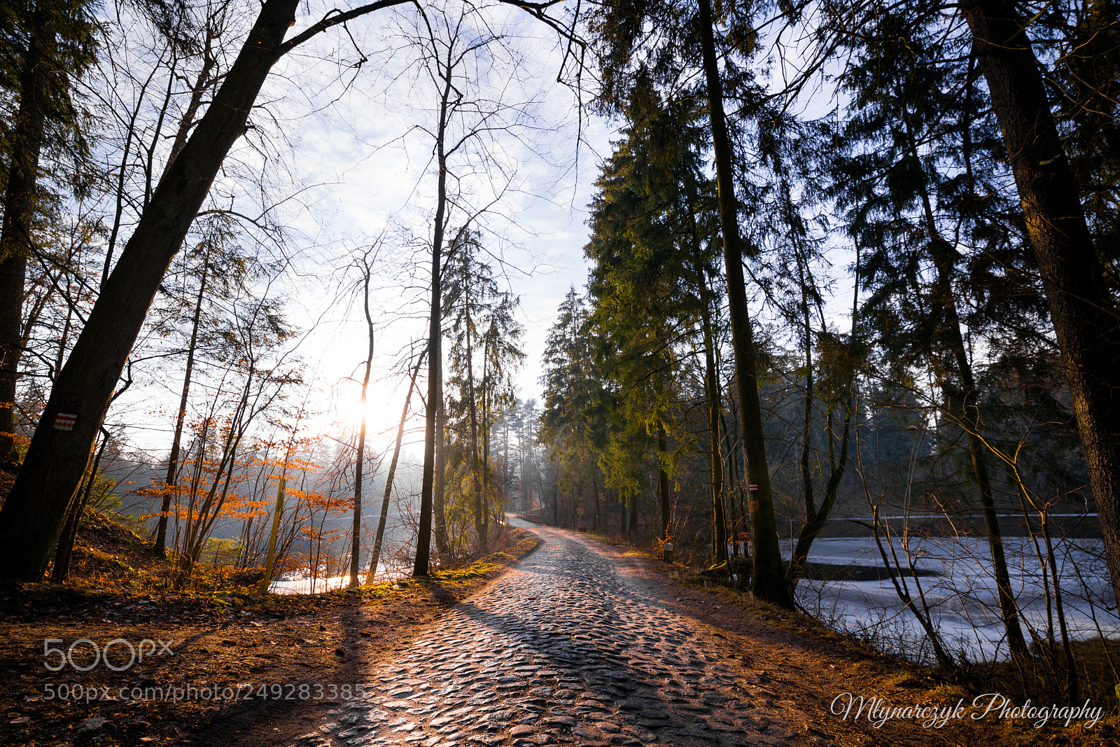Canon EOS 5D Mark IV sample photo. Untitled photography