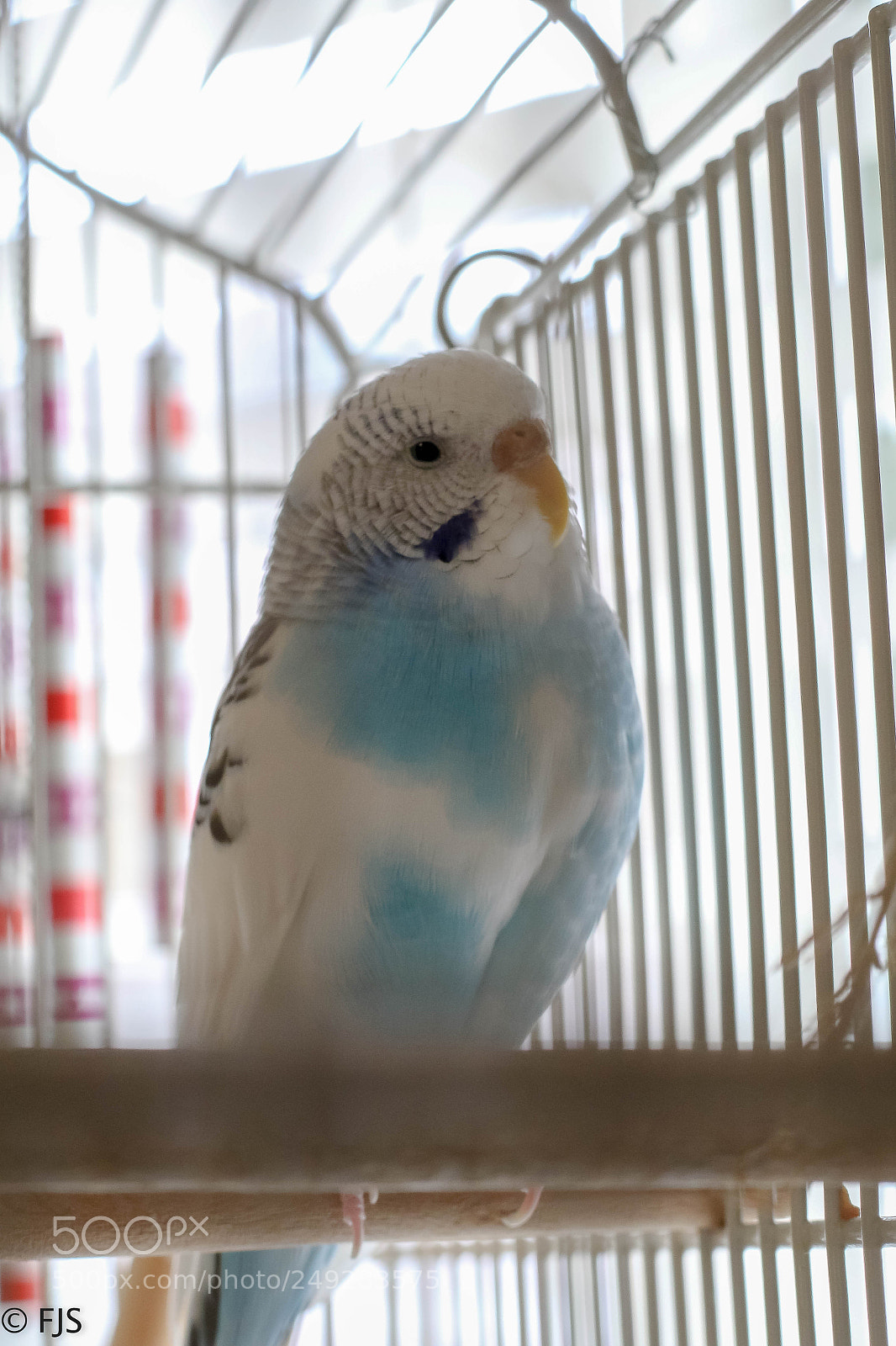Canon EOS 7D Mark II sample photo. Para final photography