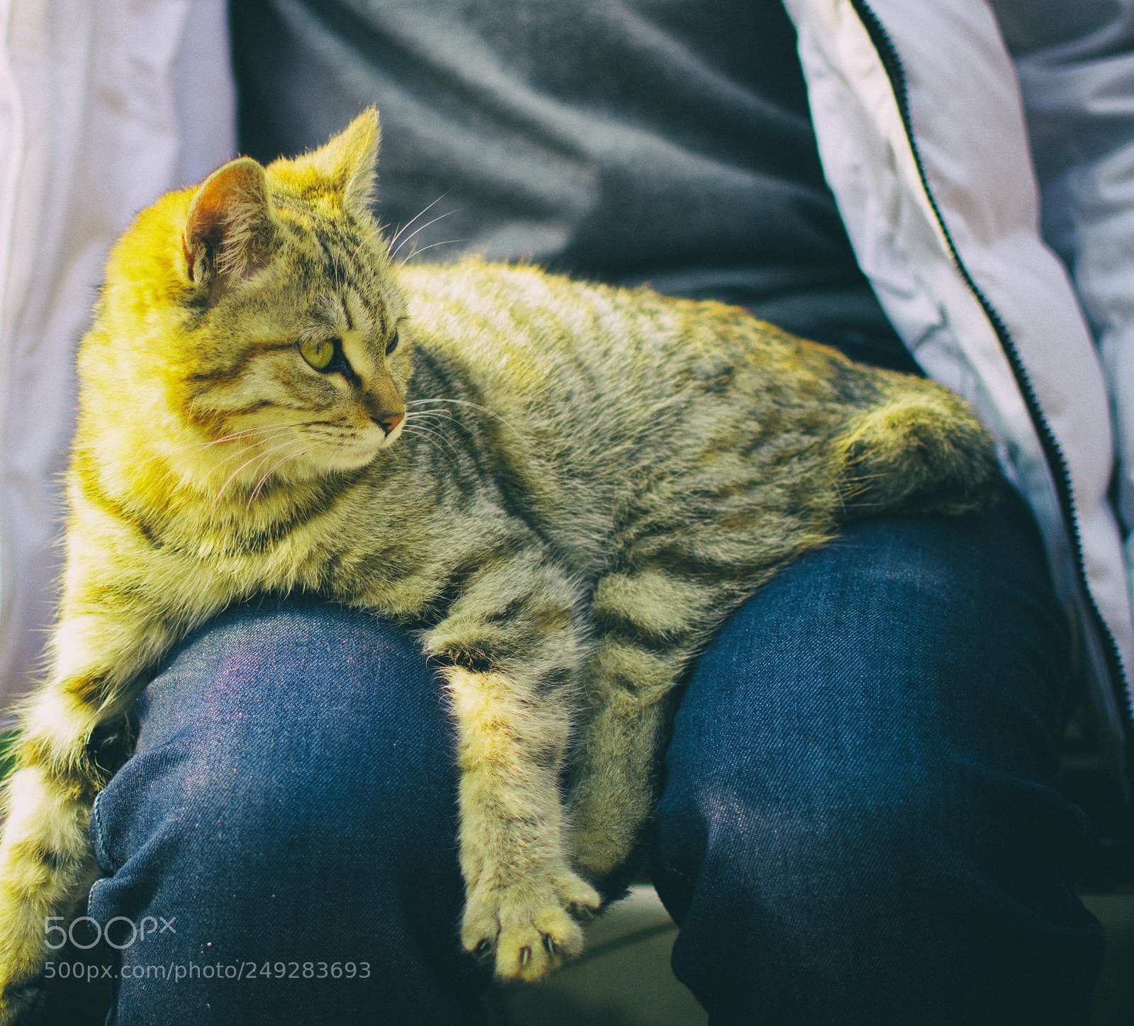 Nikon D7200 sample photo. Untitled photography