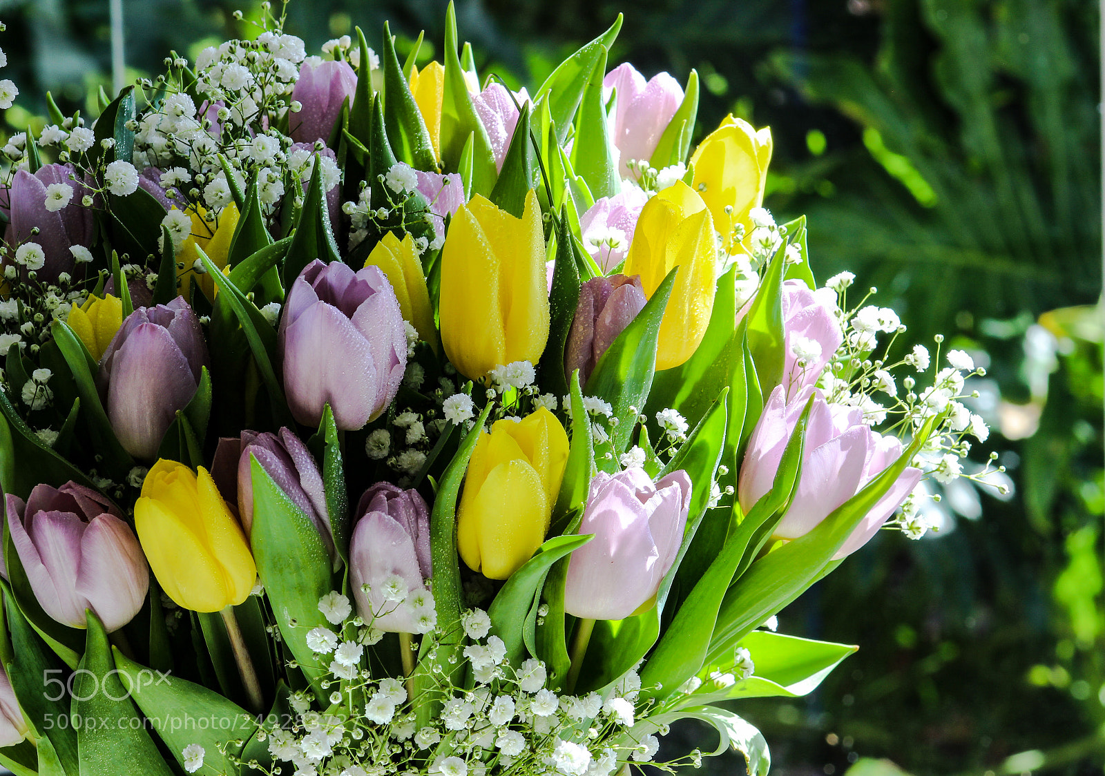 Canon EOS 600D (Rebel EOS T3i / EOS Kiss X5) sample photo. Bouquet of tulips photography