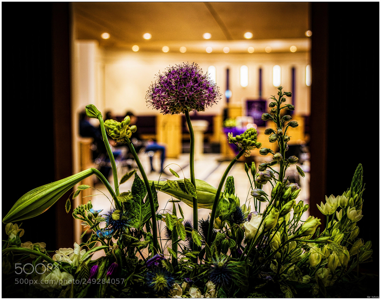 Nikon D800 sample photo. Gisteren .... photography