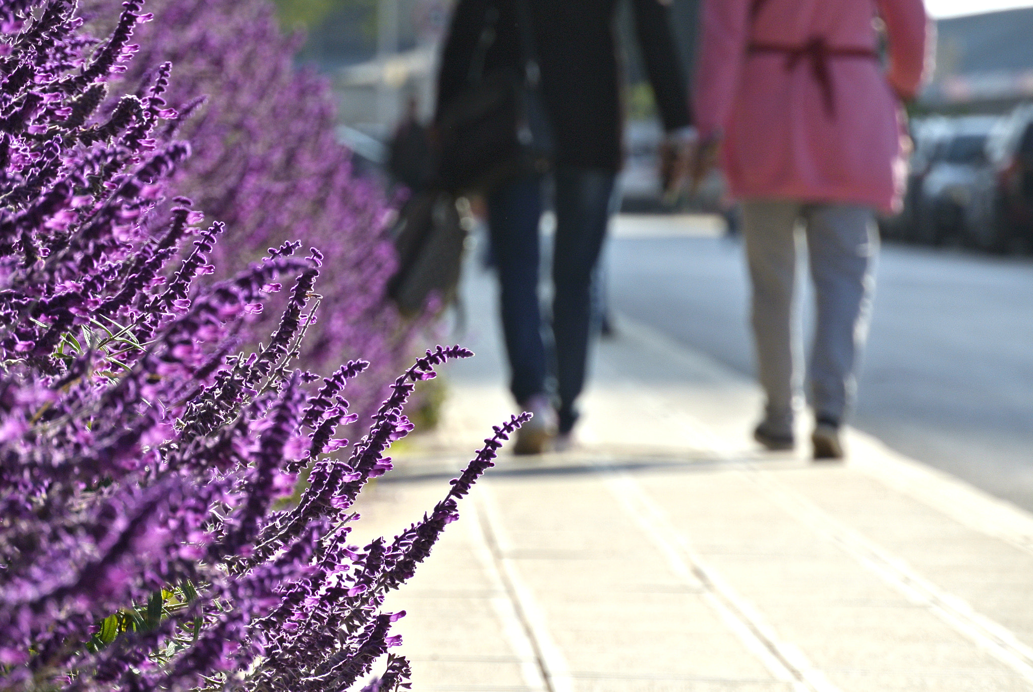 Nikon 1 J2 sample photo. 街 photography