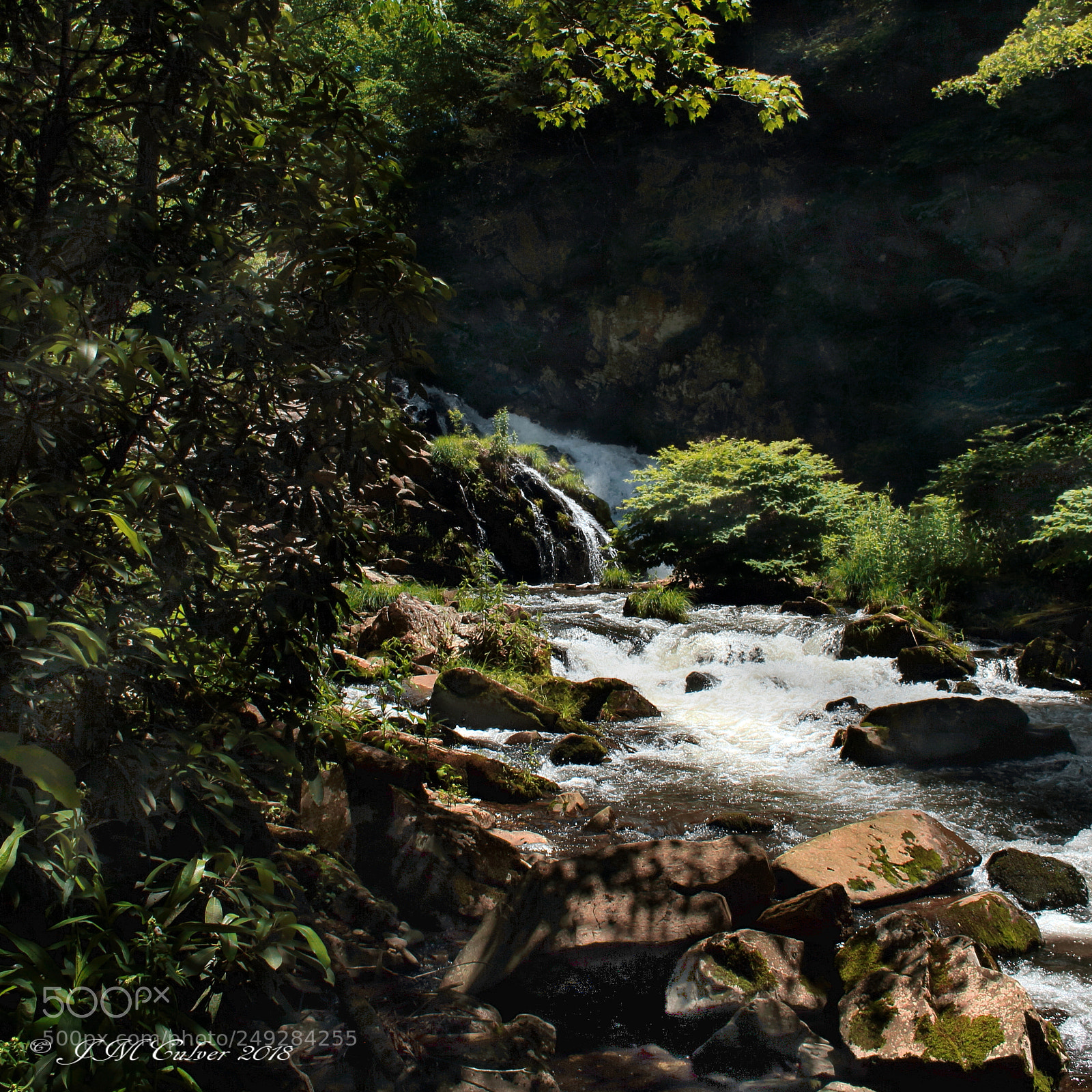 Canon EOS 700D (EOS Rebel T5i / EOS Kiss X7i) sample photo. Nantahala forest photography