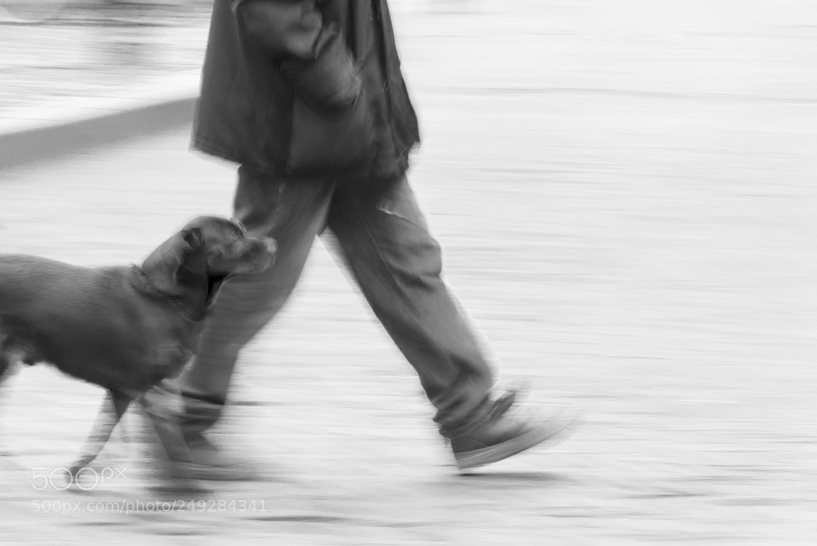 Panasonic Lumix DMC-FZ200 sample photo. Walking... photography