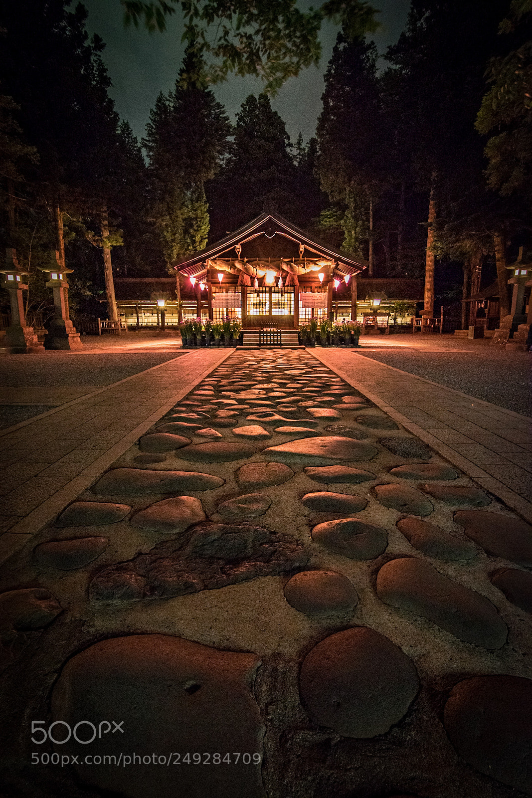 Nikon D5300 sample photo. Suwa grand shrine photography