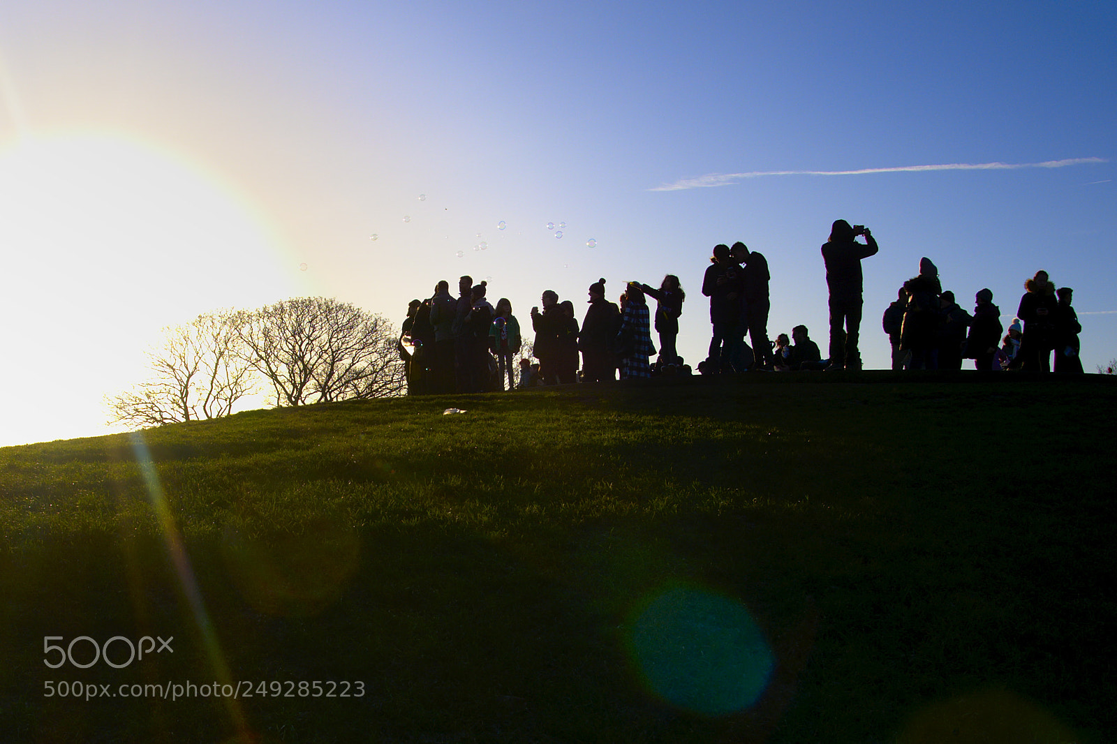 Nikon D7100 sample photo. Primrose hill sun photography