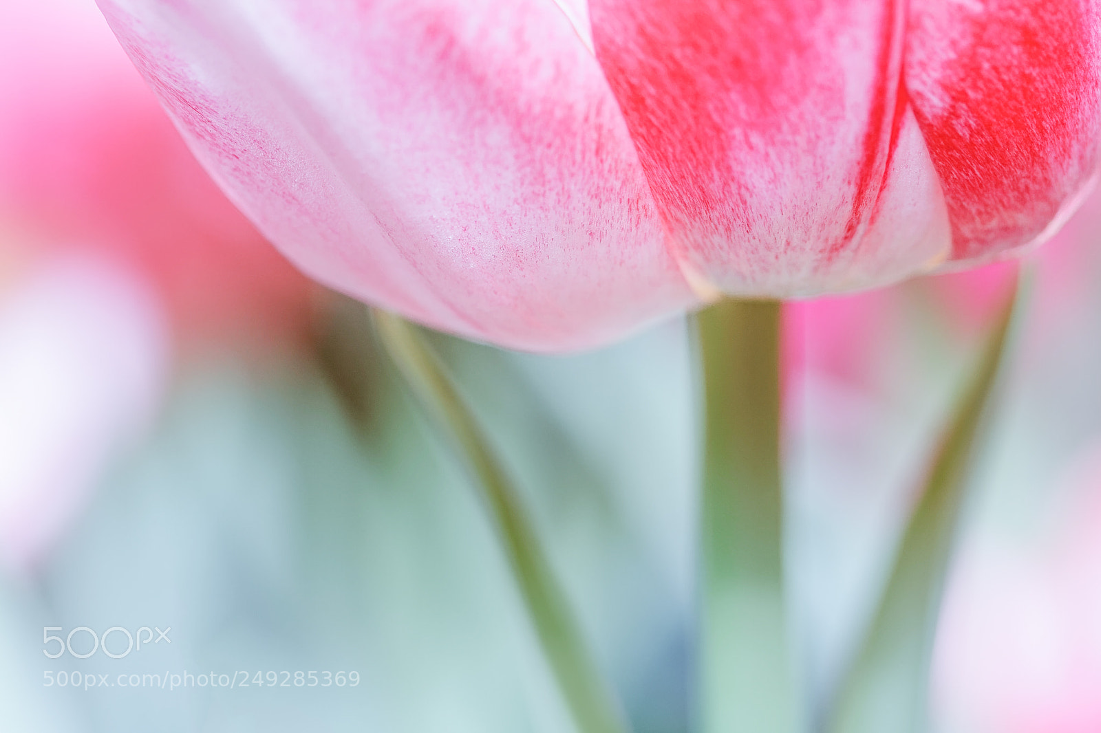 Canon EOS 40D sample photo. Underneath photography