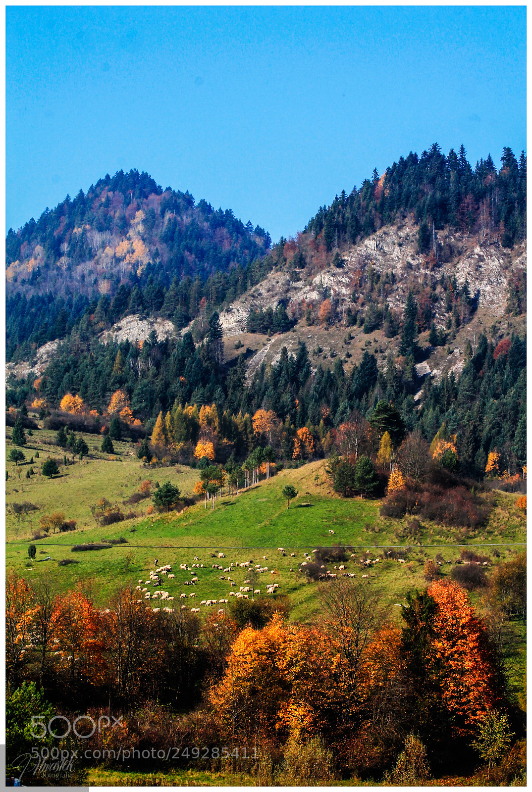 Canon EOS 1100D (EOS Rebel T3 / EOS Kiss X50) sample photo. Autumn day in pieniny photography