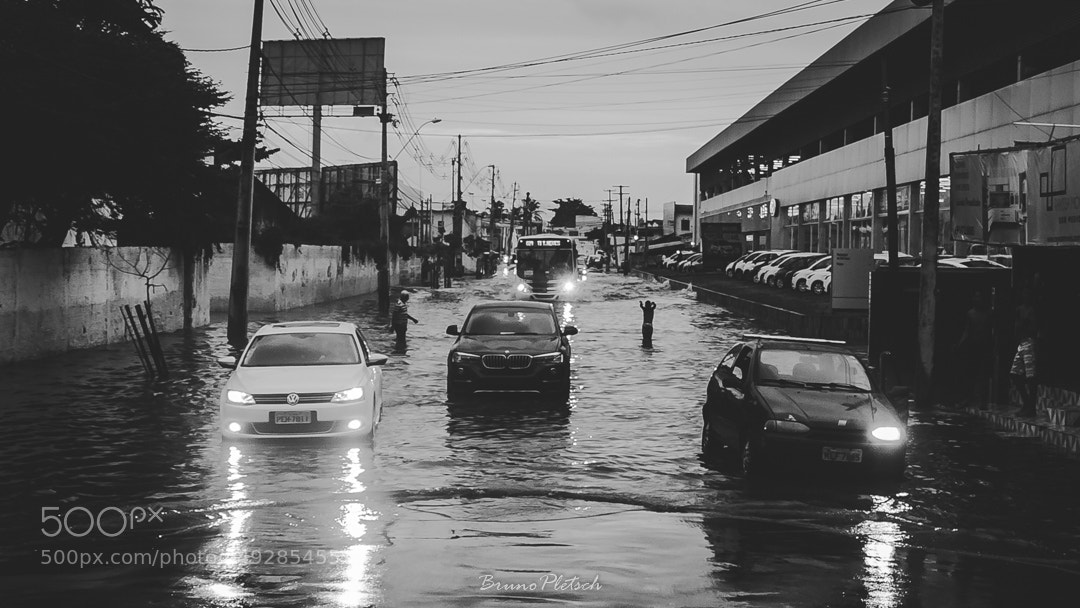 Nikon D5100 sample photo. Untitled photography