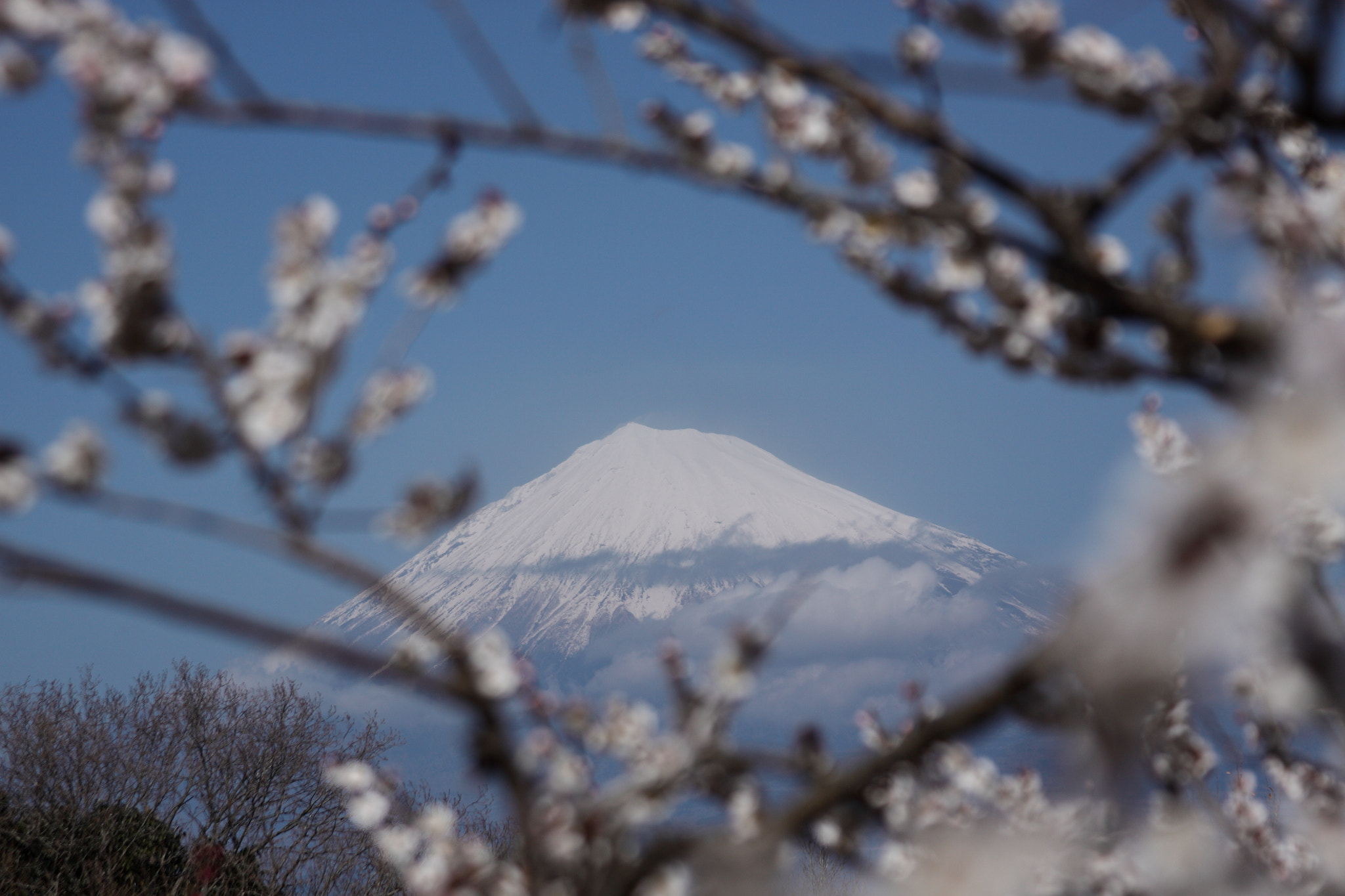 Canon EF 28-135mm F3.5-5.6 IS USM sample photo. Iwamoto mountain park photography