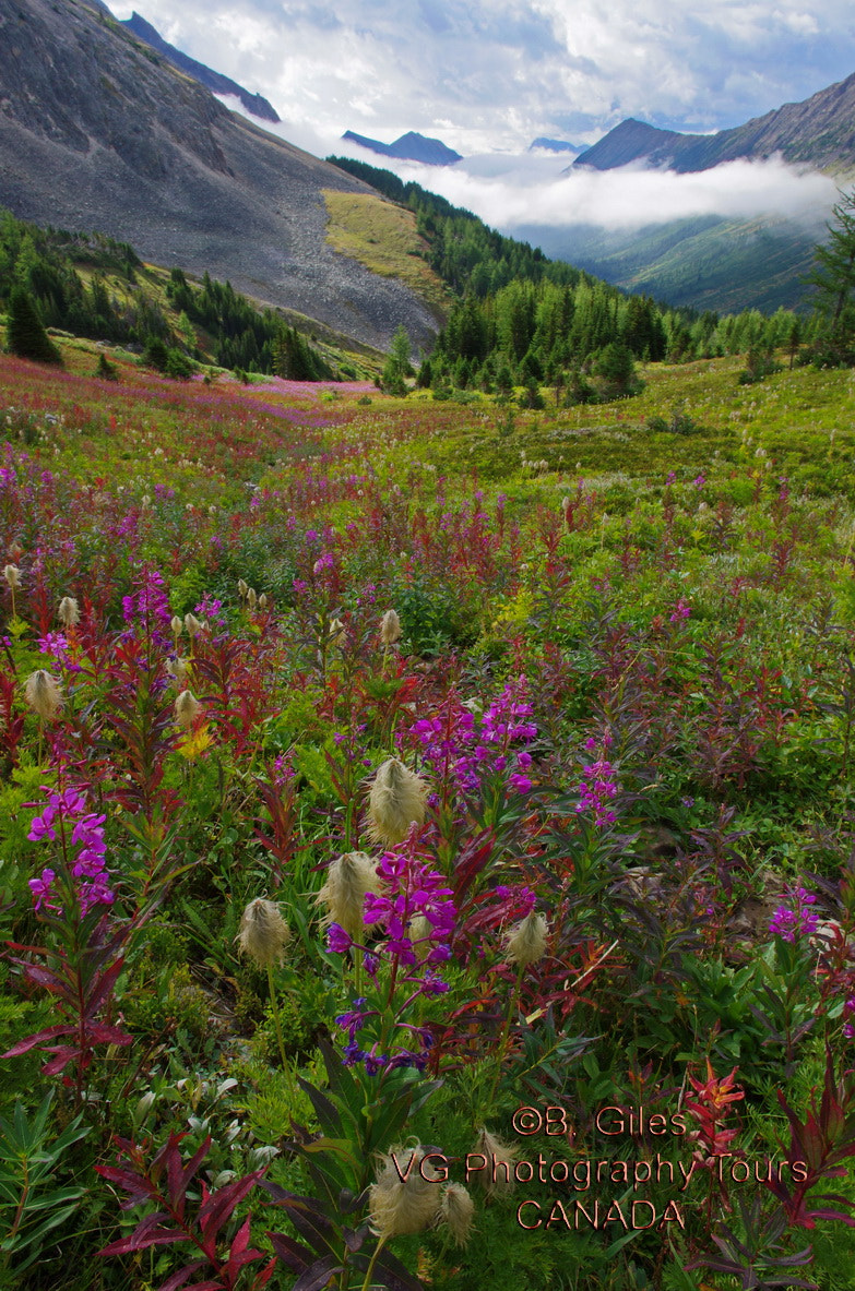 Pentax K-5 IIs + Pentax smc DA 15mm F4 ED AL Limited sample photo. Late summer rocky mountains photography