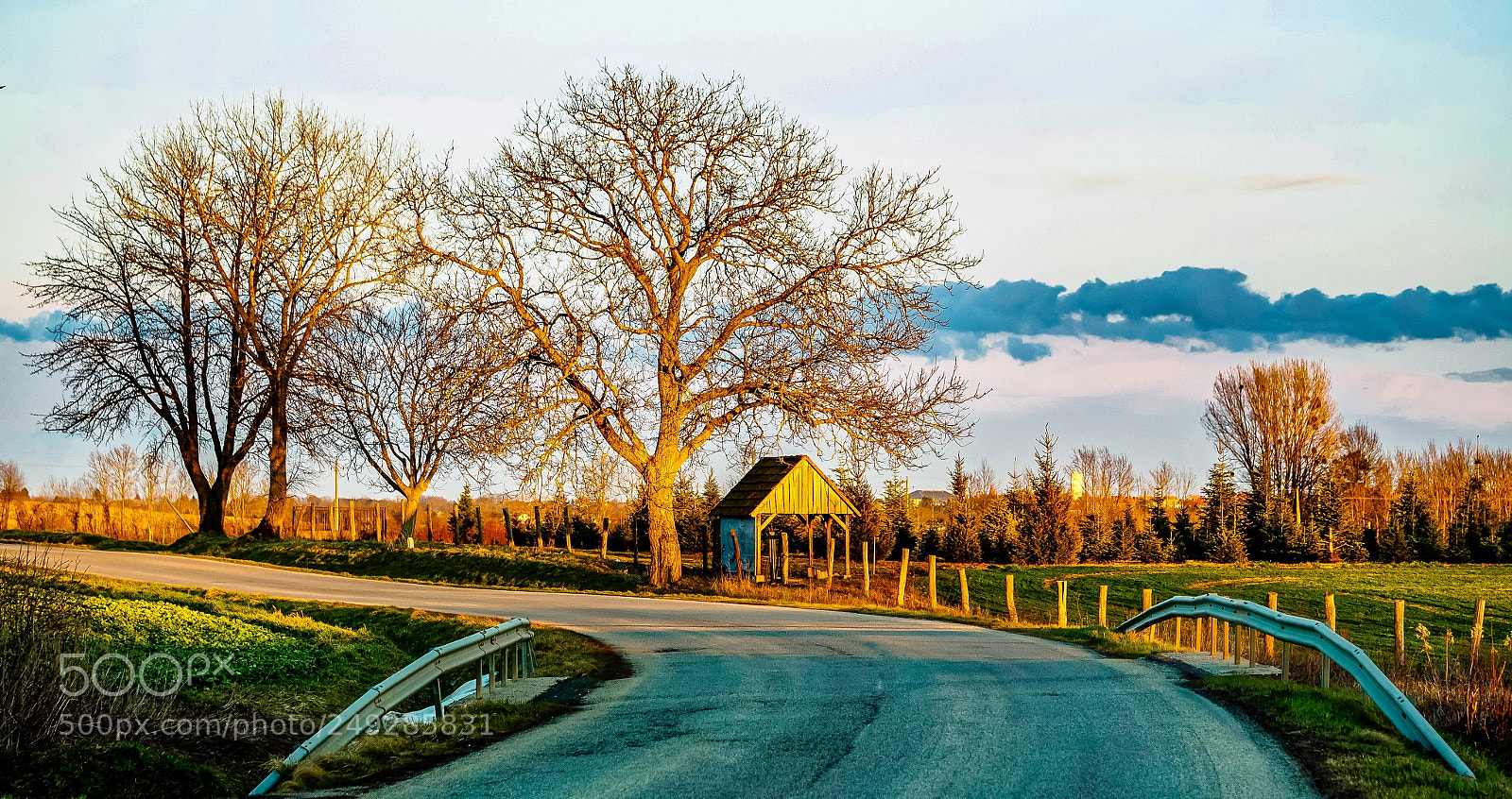 Olympus OM-D E-M10 II sample photo. Sunset in spring photography