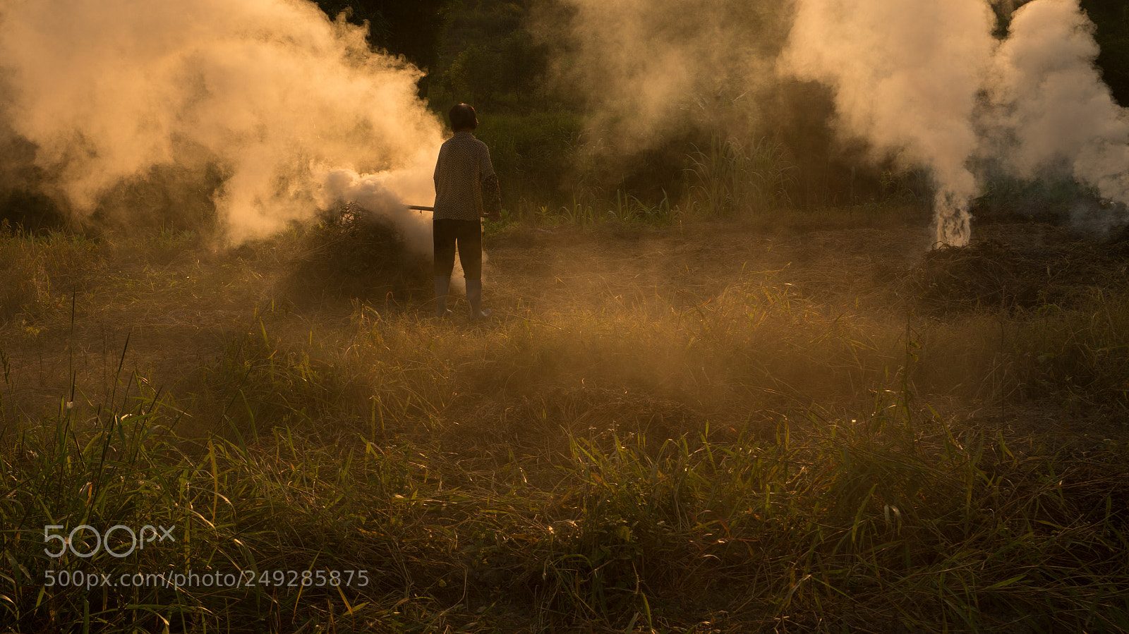 Sony Alpha NEX-6 sample photo. 烧稻草 photography