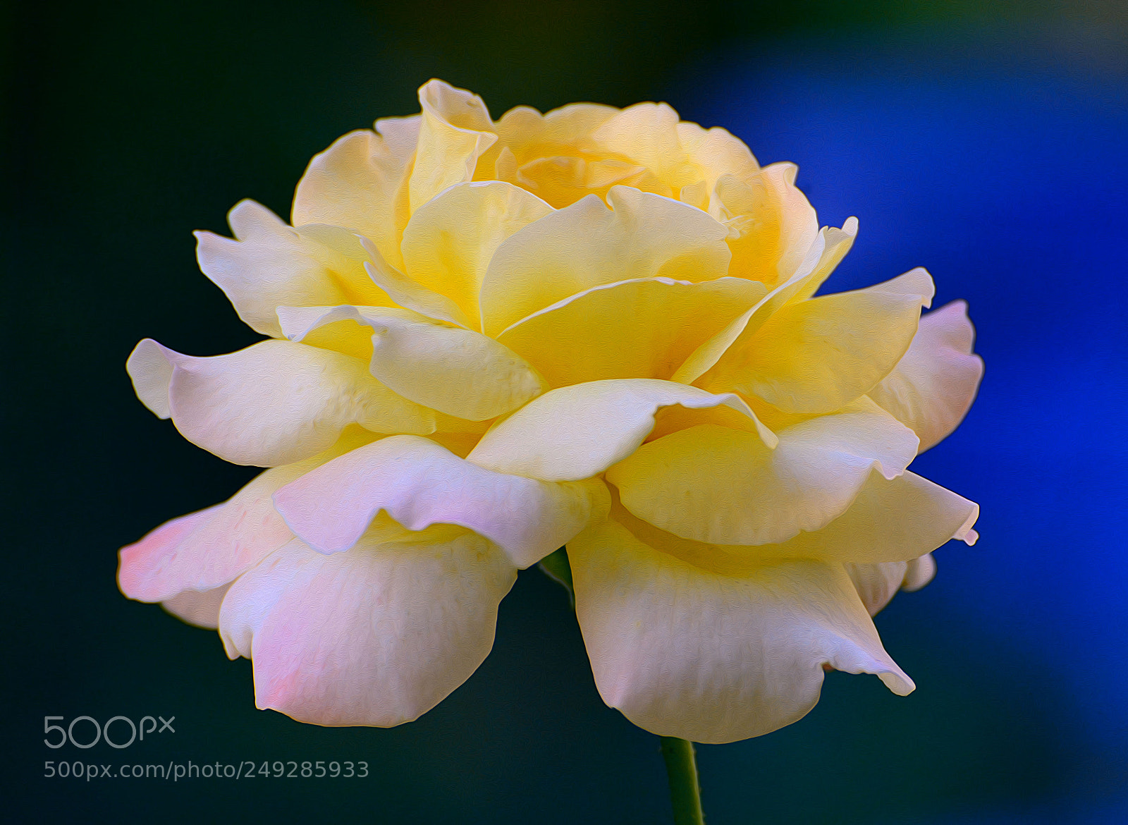 Nikon D7100 sample photo. Untitled photography