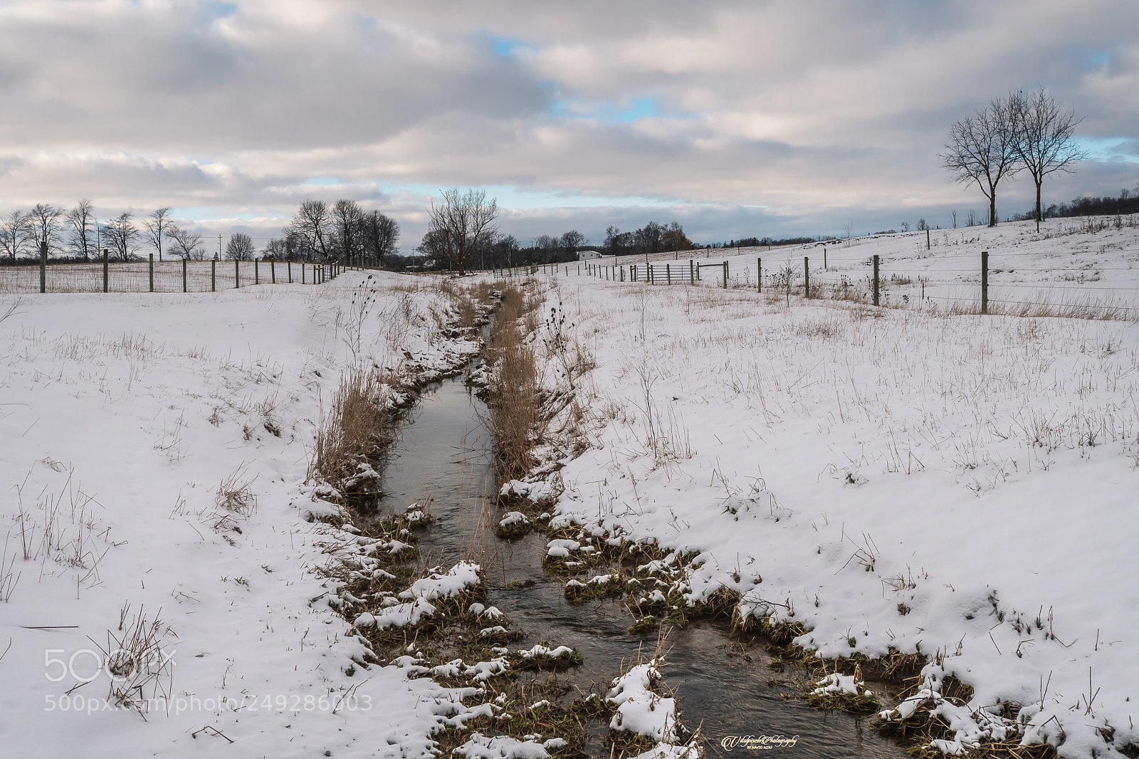 Nikon D500 sample photo. Stream! photography